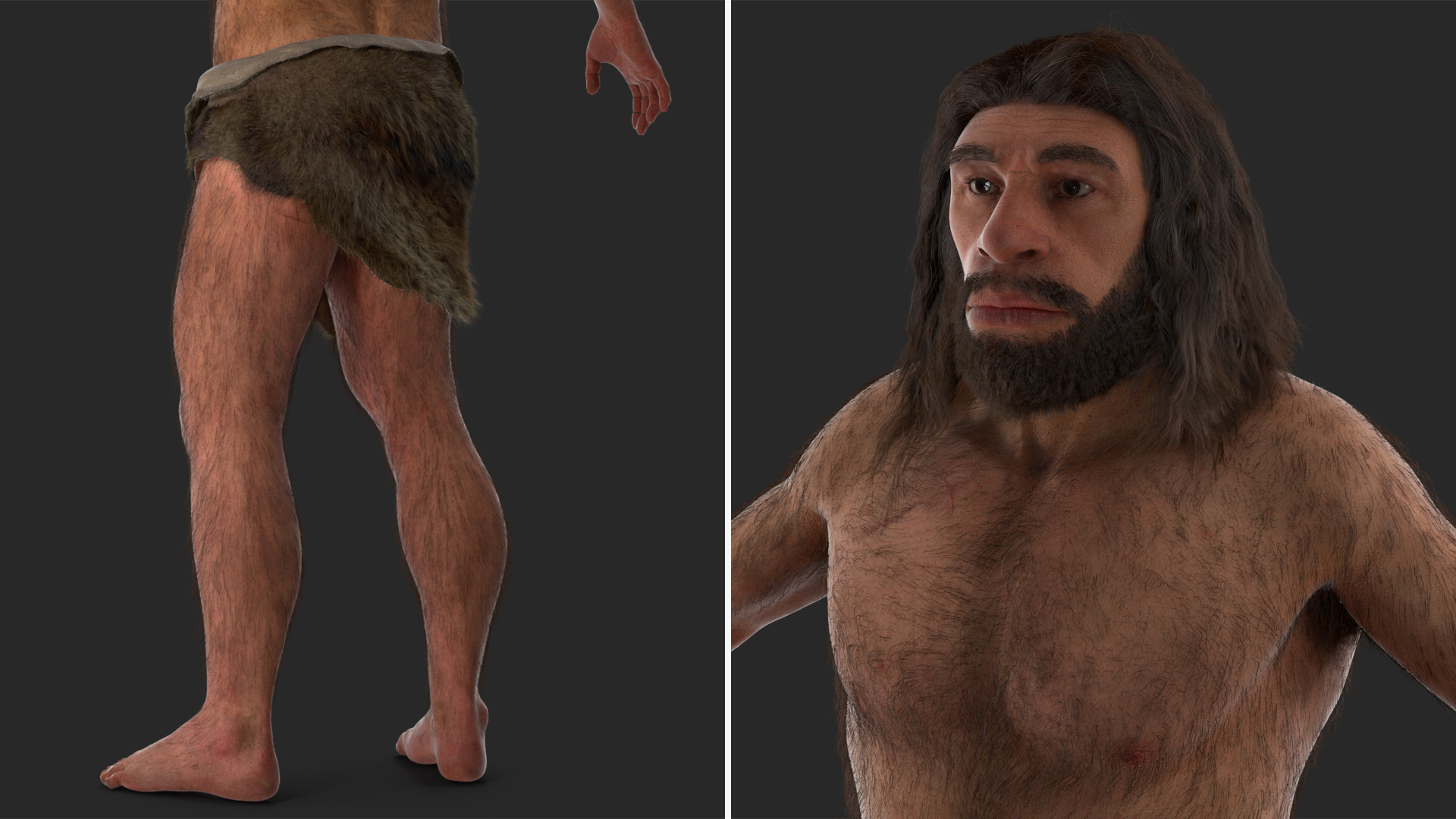 Neanderthal T-Pose Fur 3D