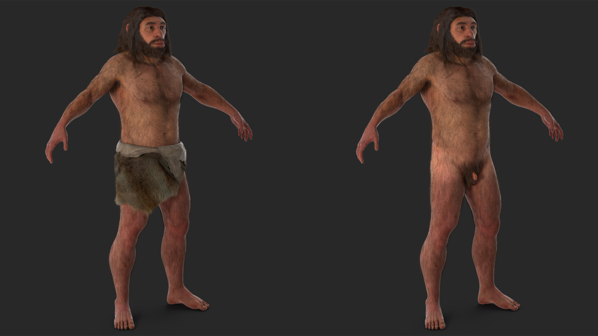 Neanderthal T-Pose Fur 3D