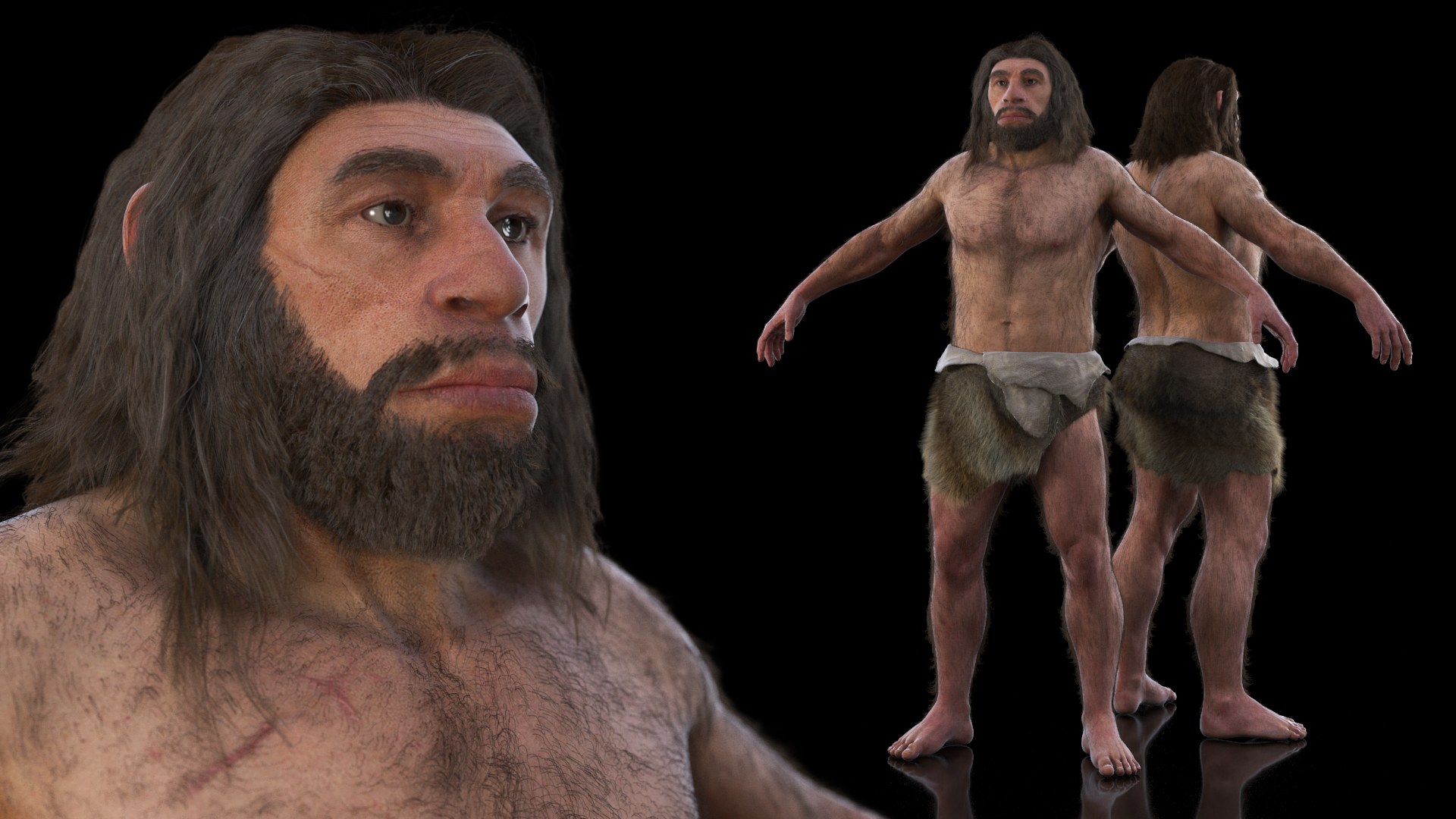 Neanderthal T-Pose Fur 3D