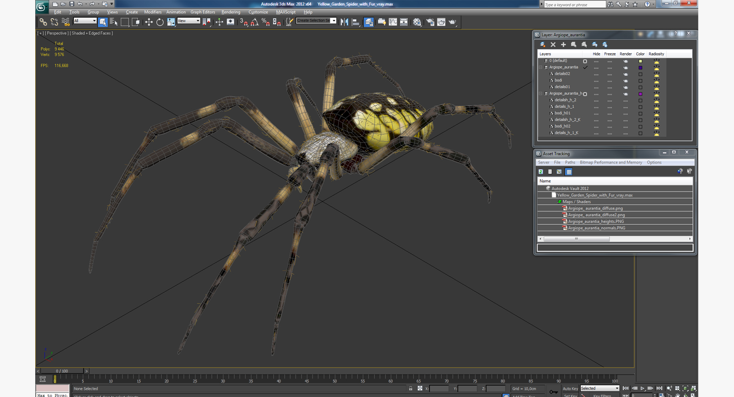 Yellow Garden Spider with Fur 3D model