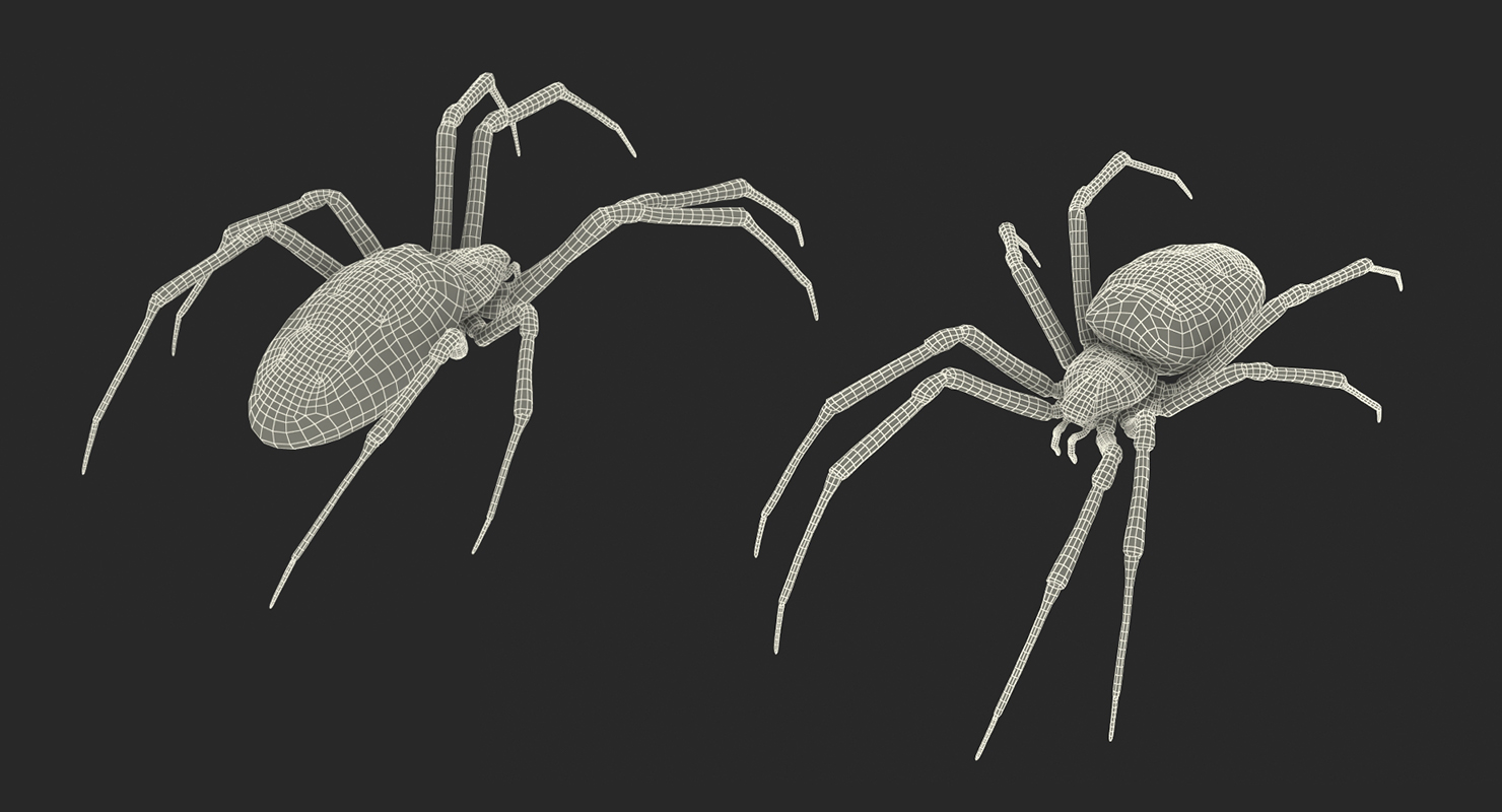 Yellow Garden Spider with Fur 3D model