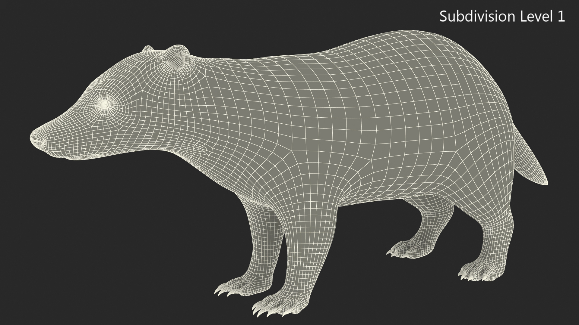 3D Badger Rigged model