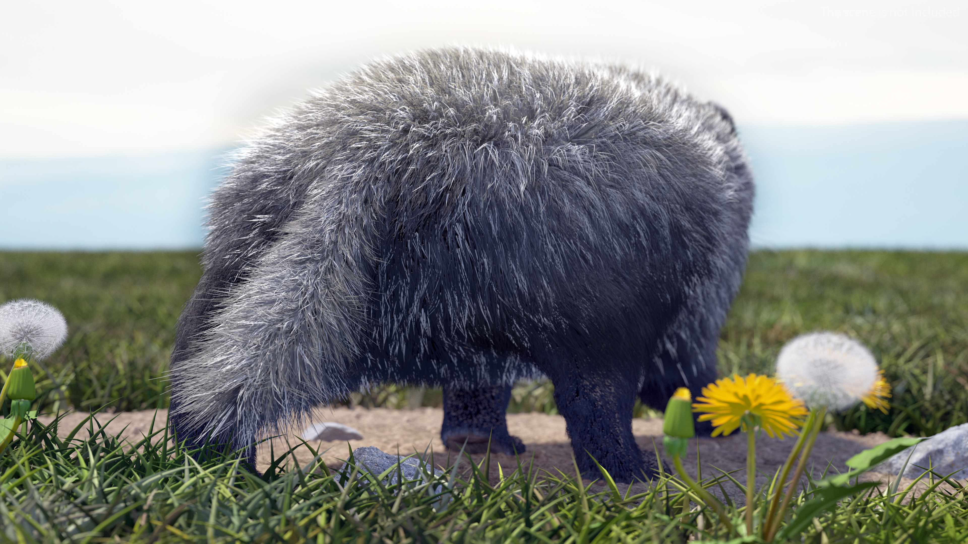 3D Badger Rigged model