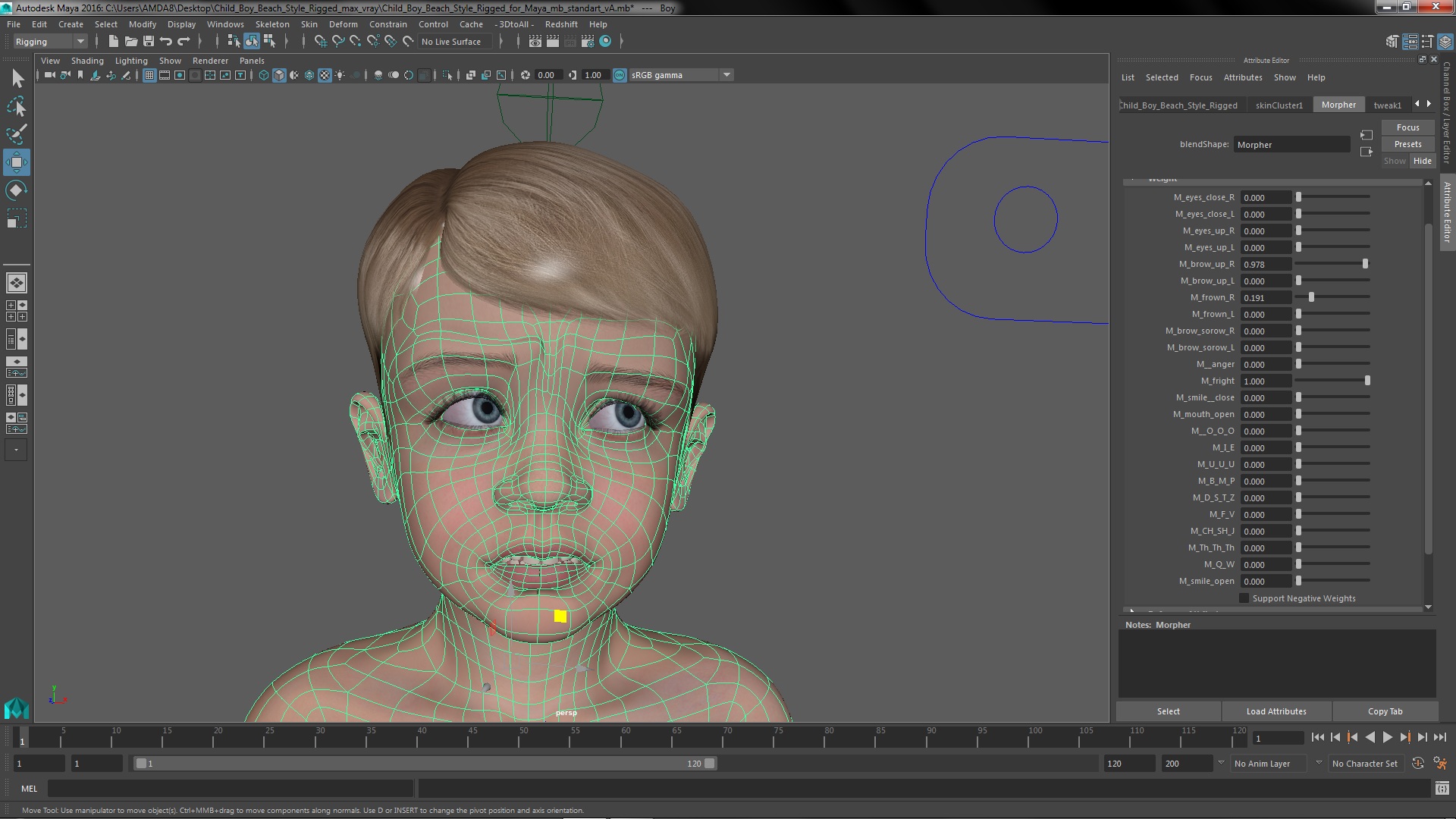 Child Boy Beach Style Rigged for Maya 3D