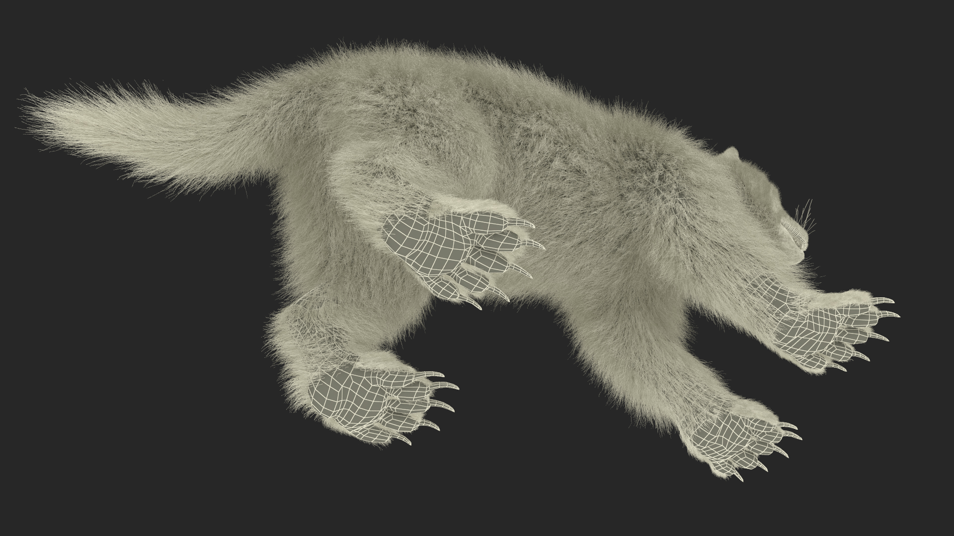 Wolverine Dark Color Fur 3D model