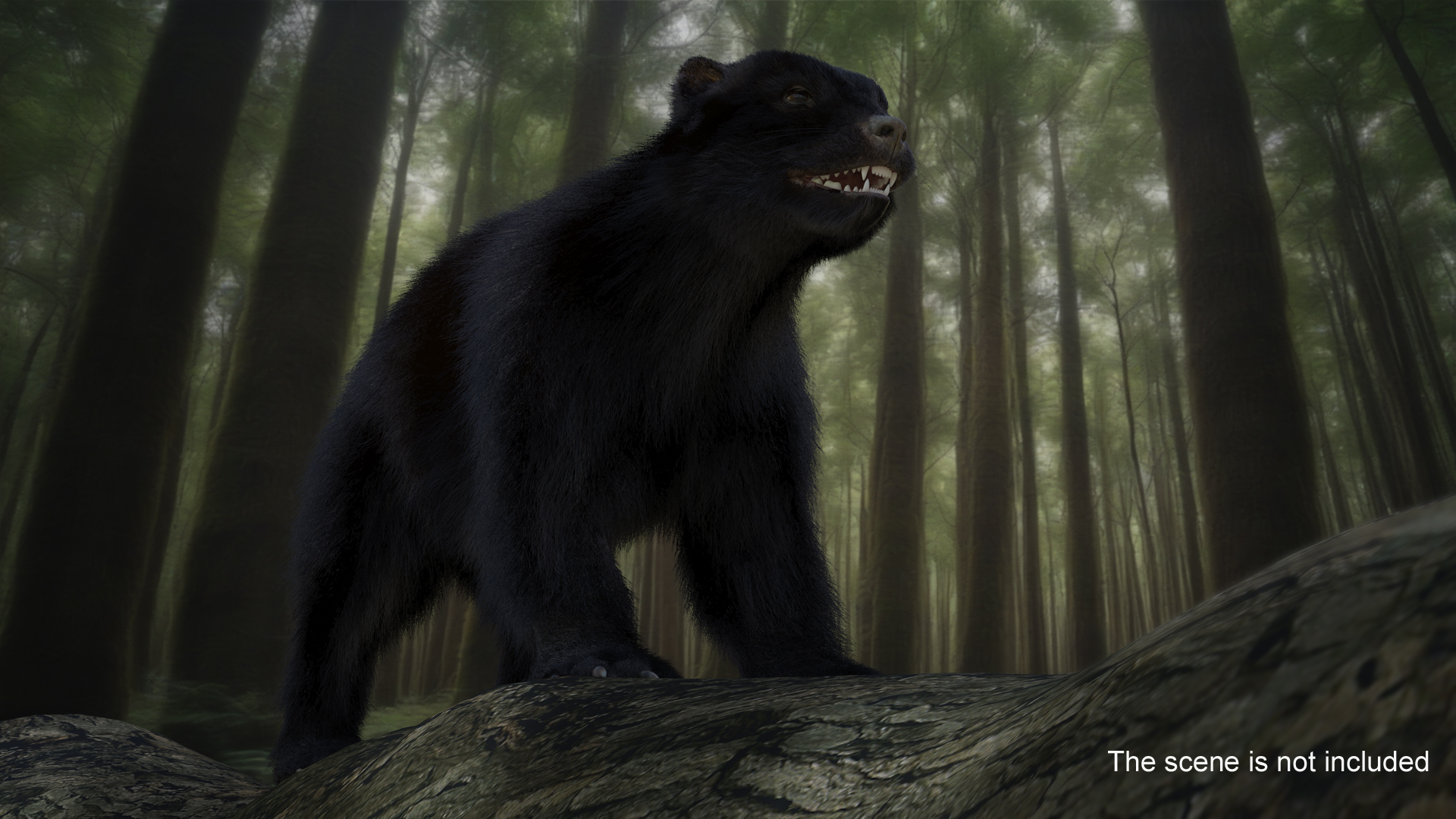 Wolverine Dark Color Fur 3D model