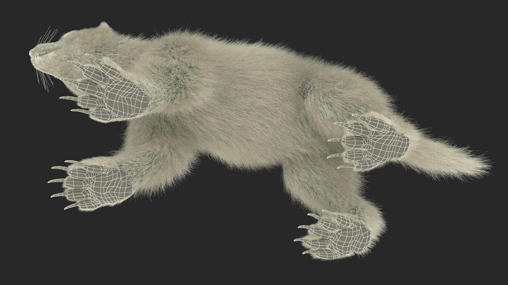 Wolverine Dark Color Fur 3D model