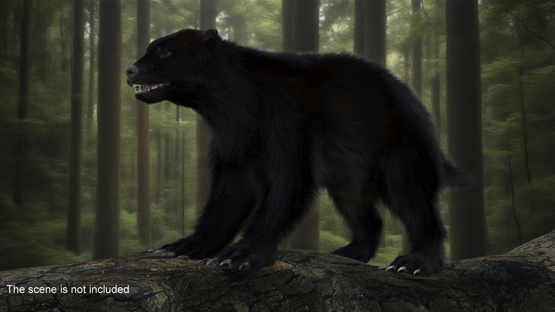 Wolverine Dark Color Fur 3D model