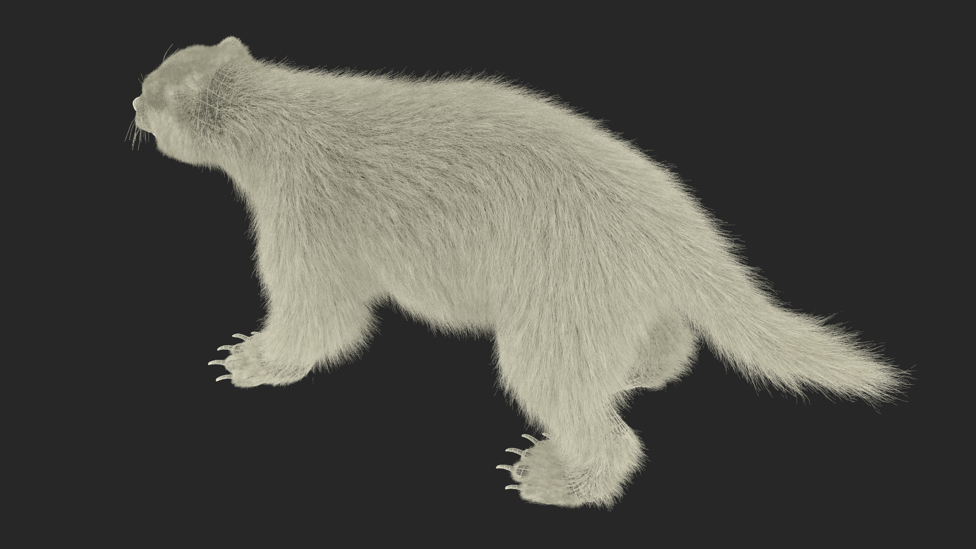 Wolverine Dark Color Fur 3D model