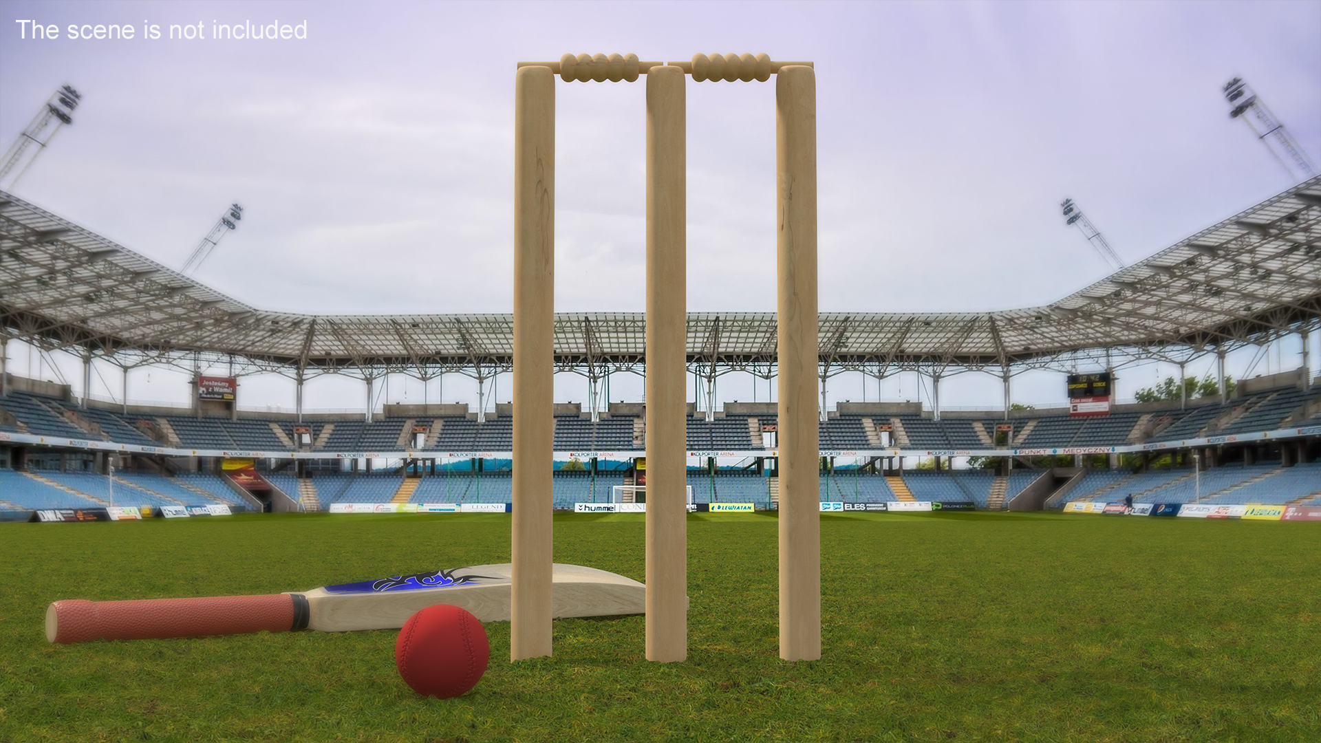 3D Wooden Cricket Stumps