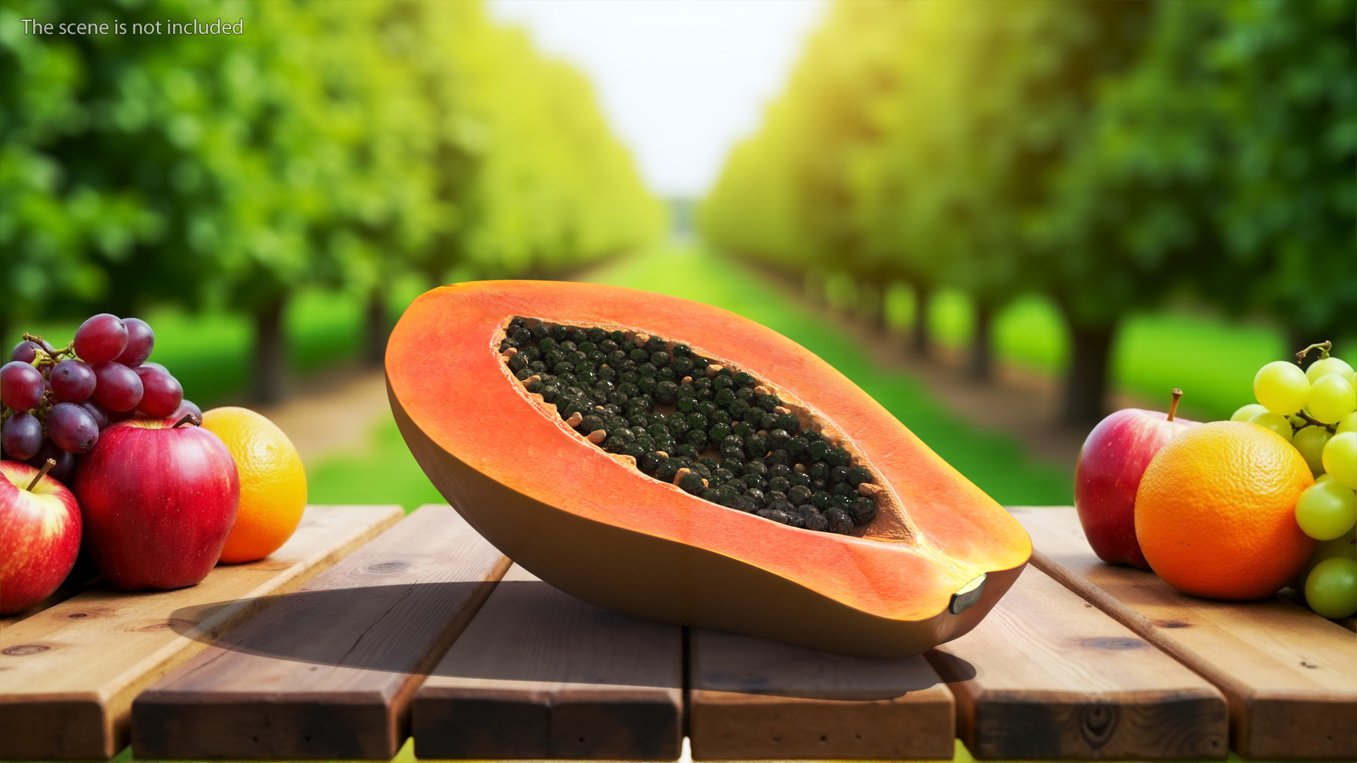 Papaya Half Fruit Orange 3D model