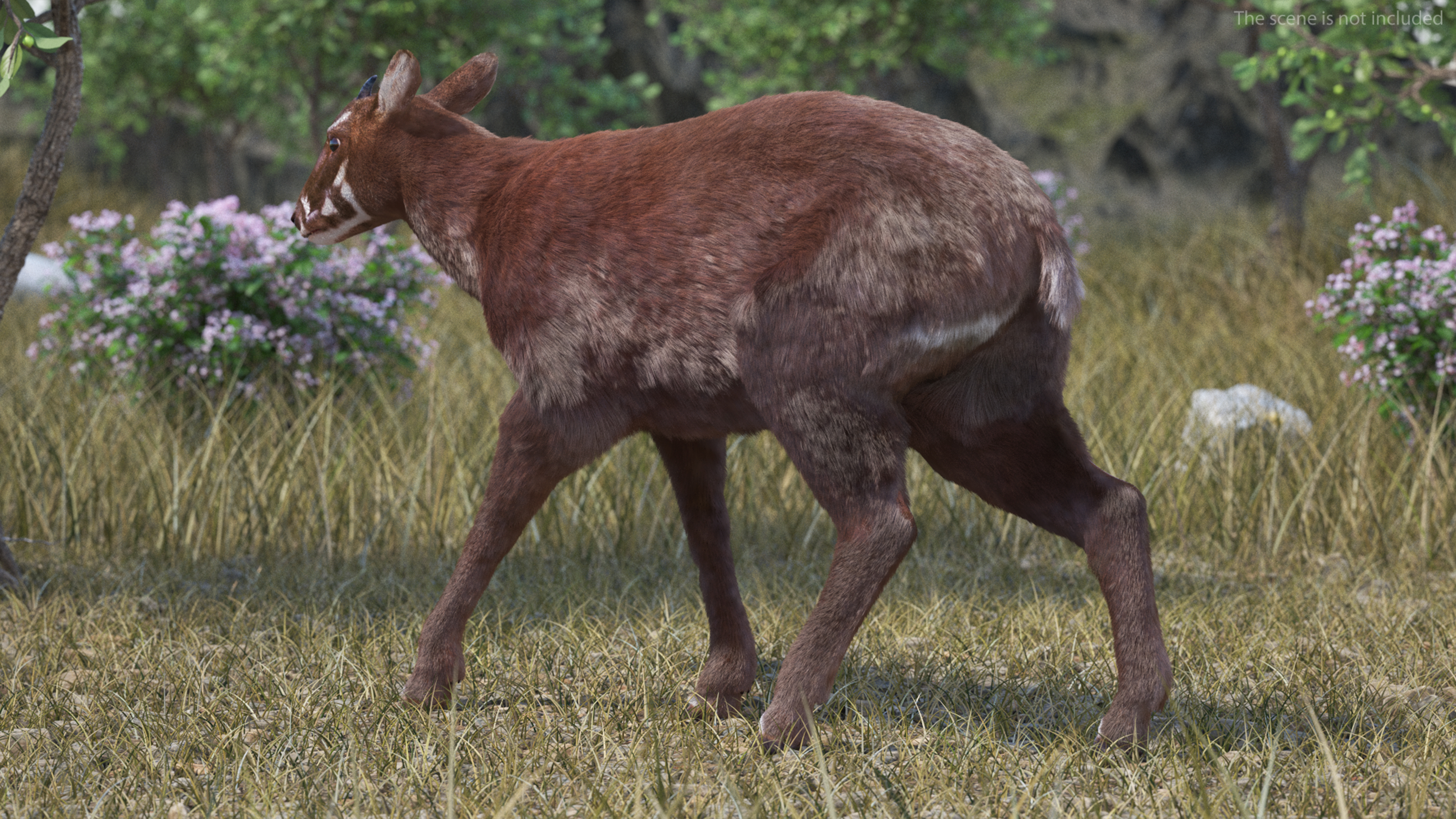 Saola Walking Pose Fur 3D