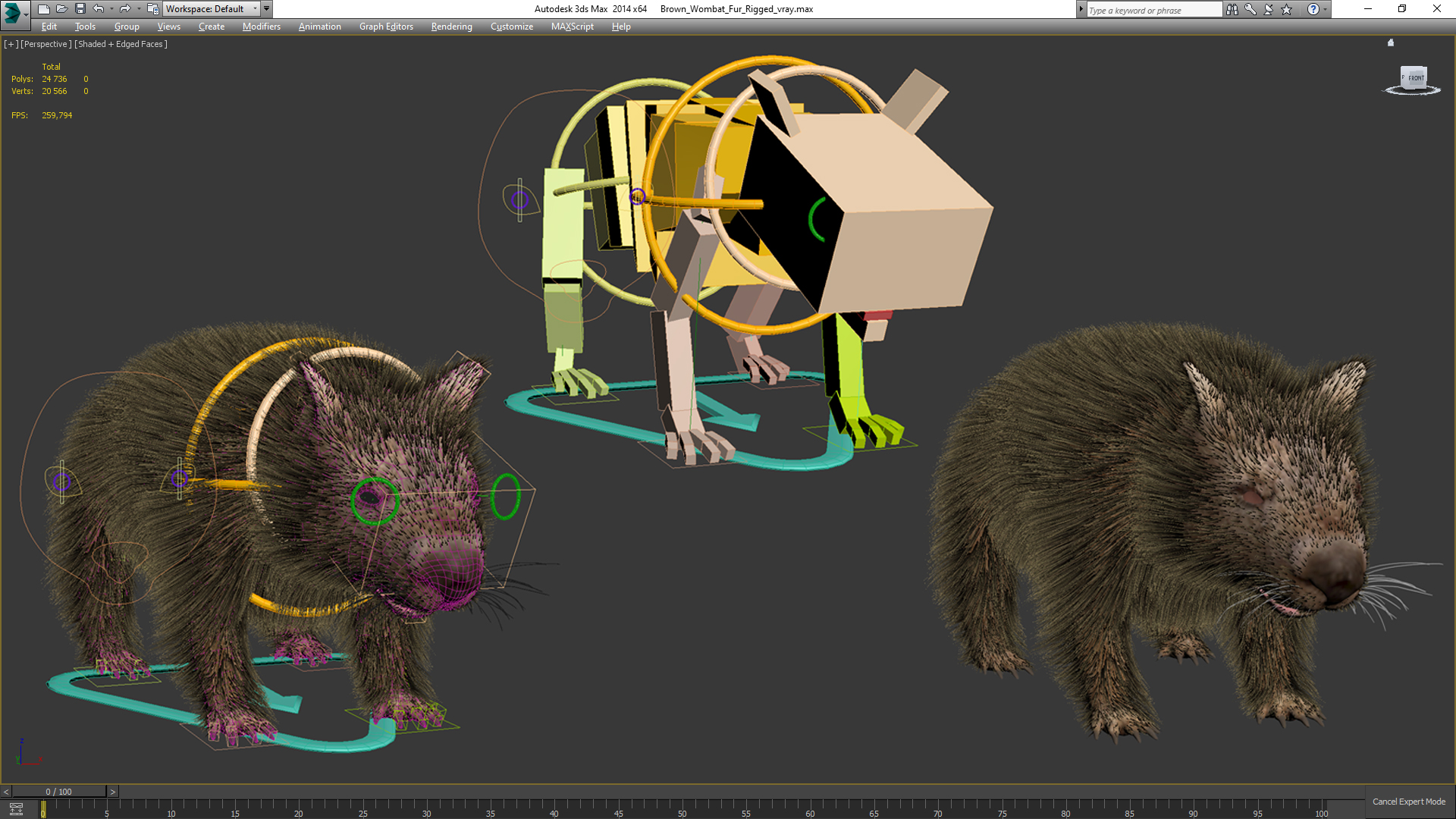 3D Brown Wombat Fur Rigged model