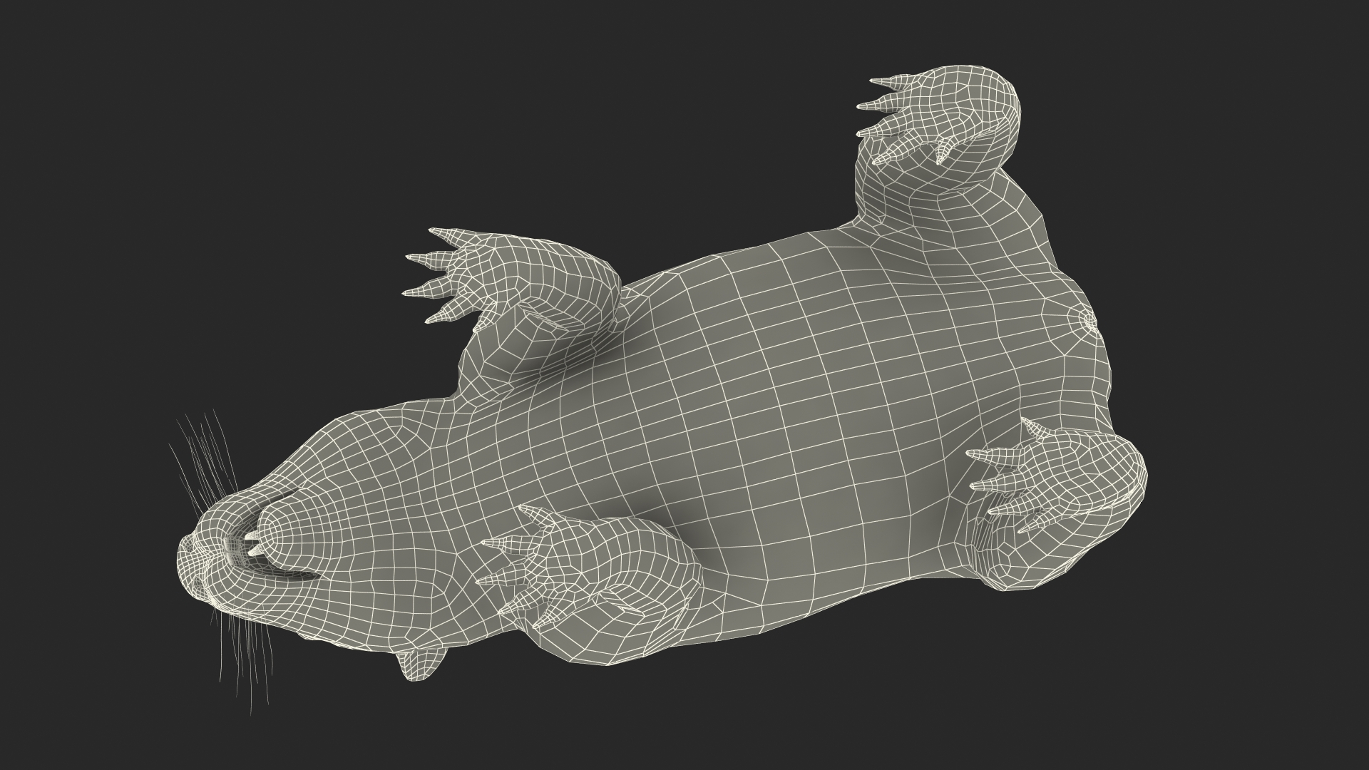 3D Brown Wombat Fur Rigged model