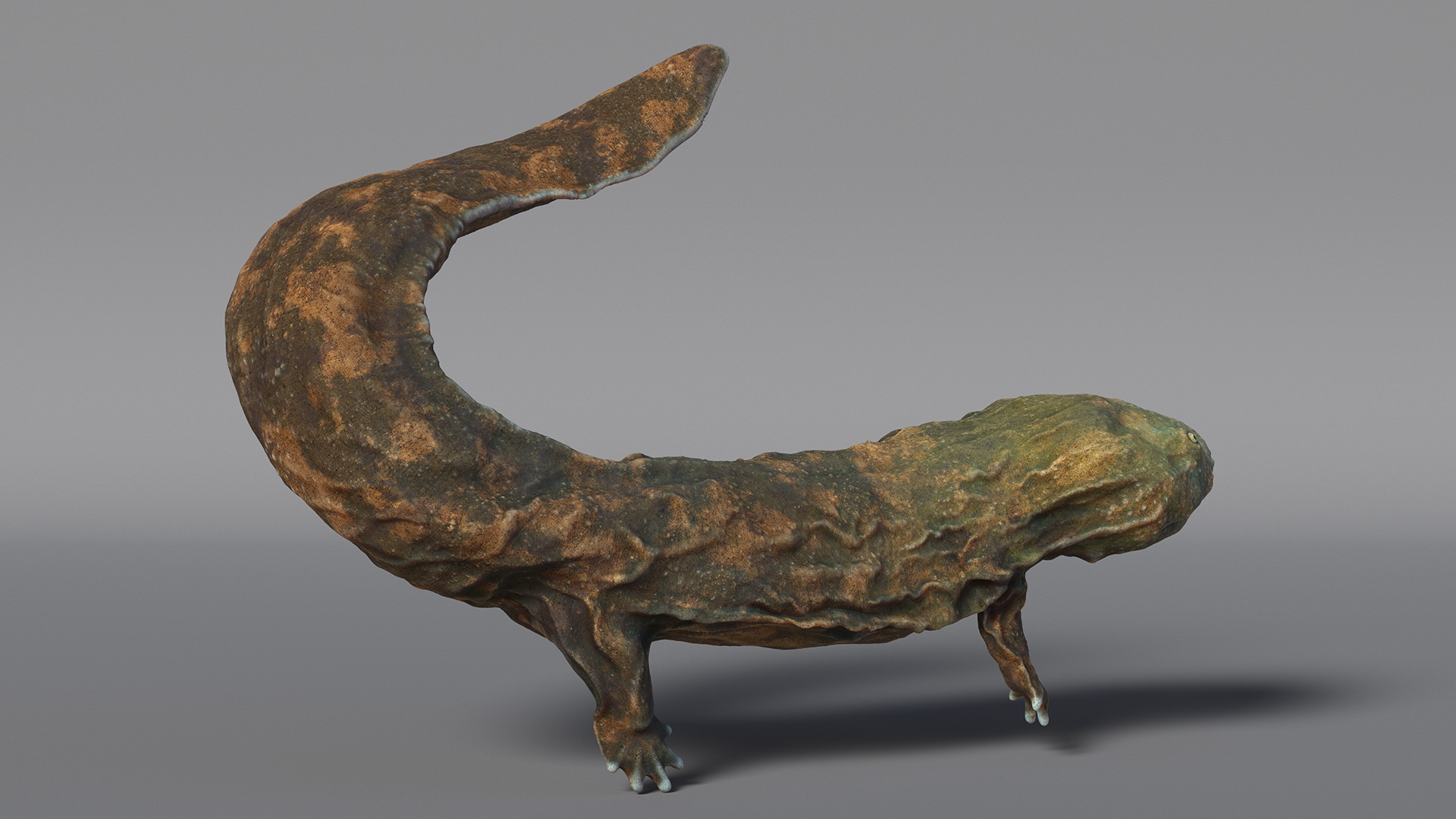 Aquatic Giant Salamander Light Swimming 3D model