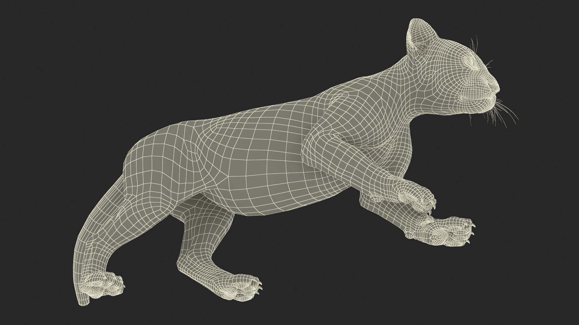 3D model Panther Cub Wary Pose Fur