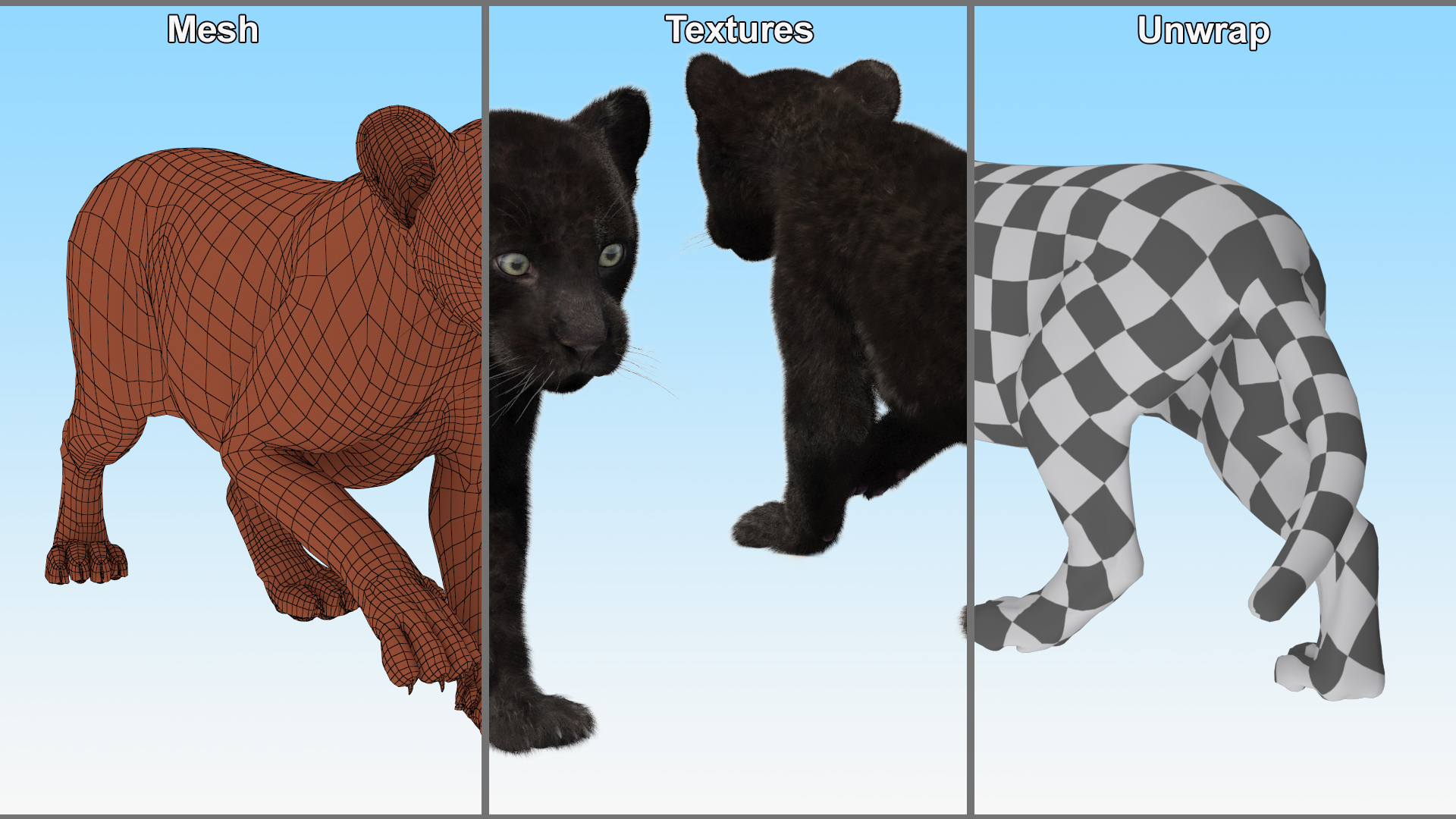 3D model Panther Cub Wary Pose Fur