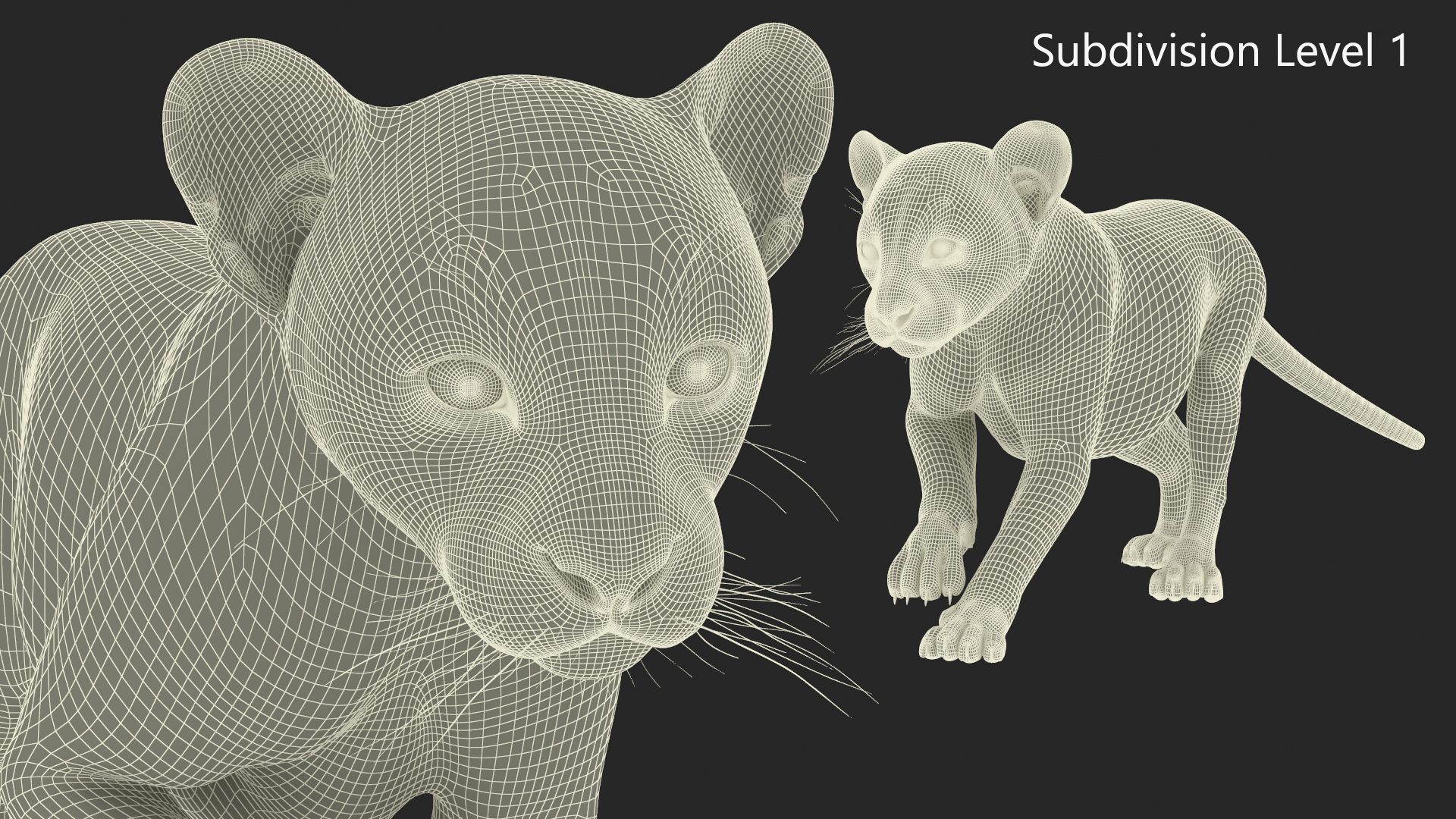 3D model Panther Cub Wary Pose Fur