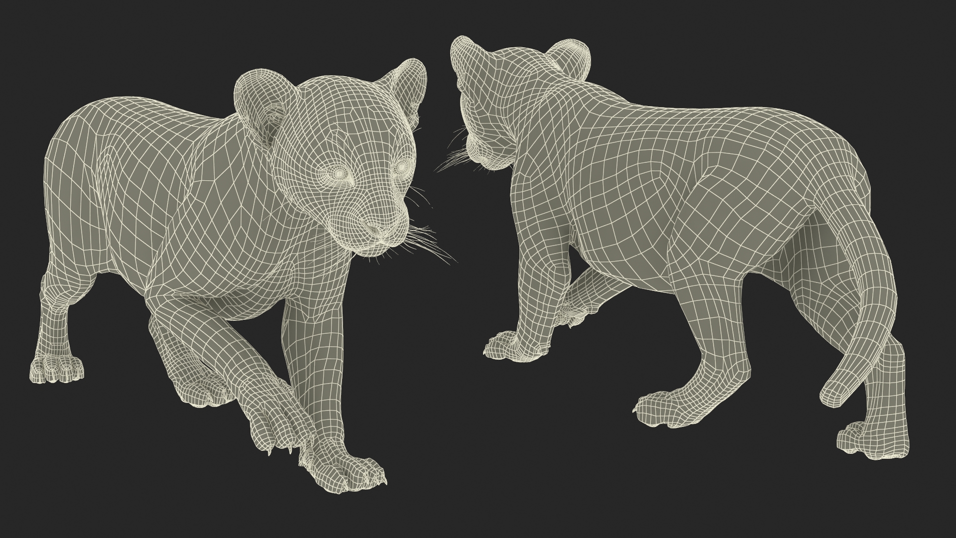 3D model Panther Cub Wary Pose Fur