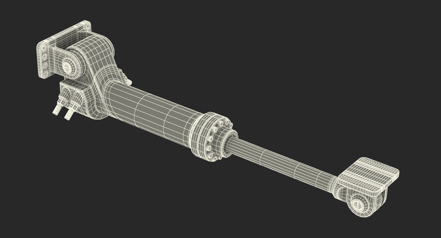 Anodized Hydraulic Cylinder 3D