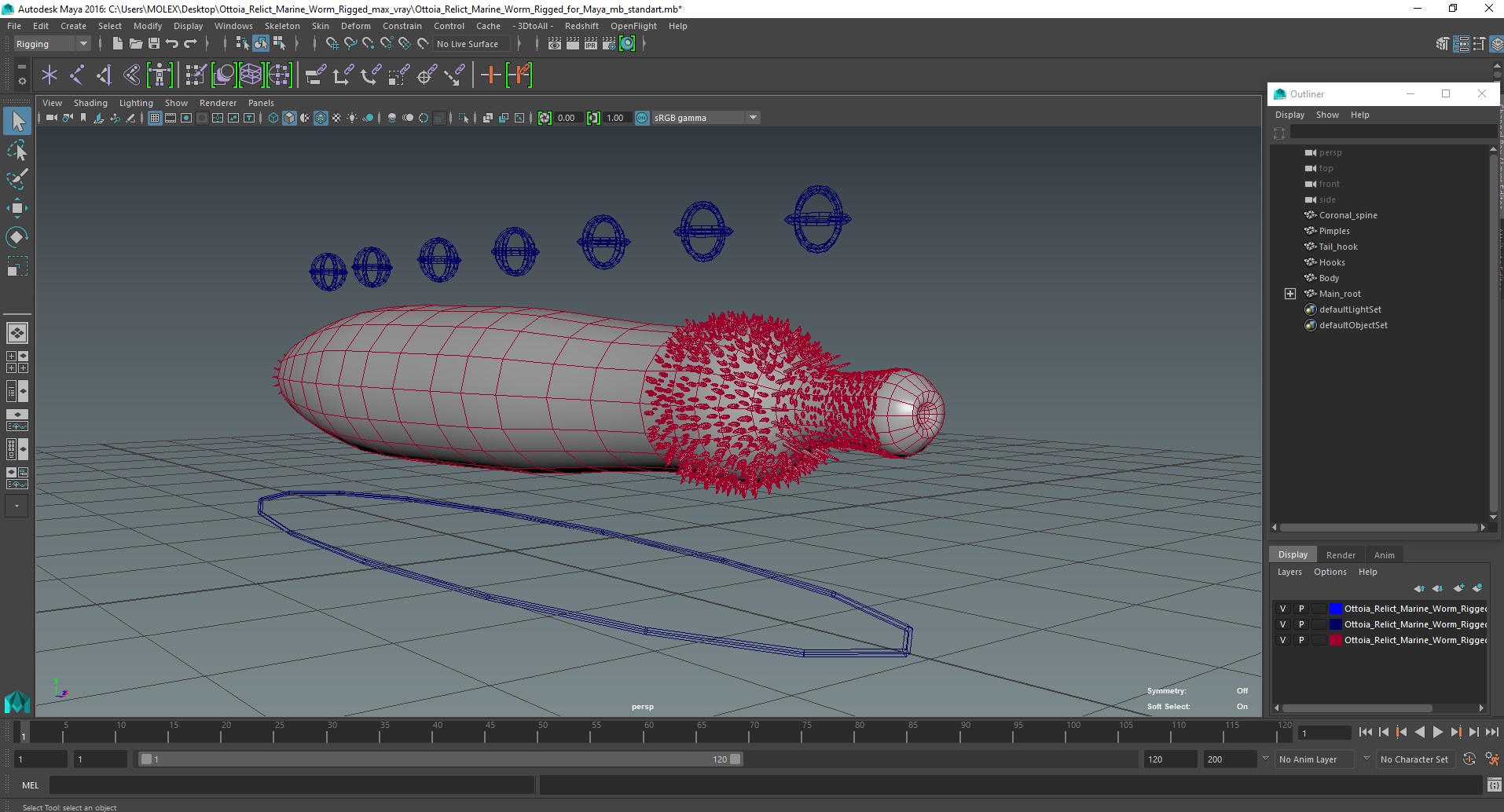 3D Ottoia Relict Marine Worm Rigged for Maya