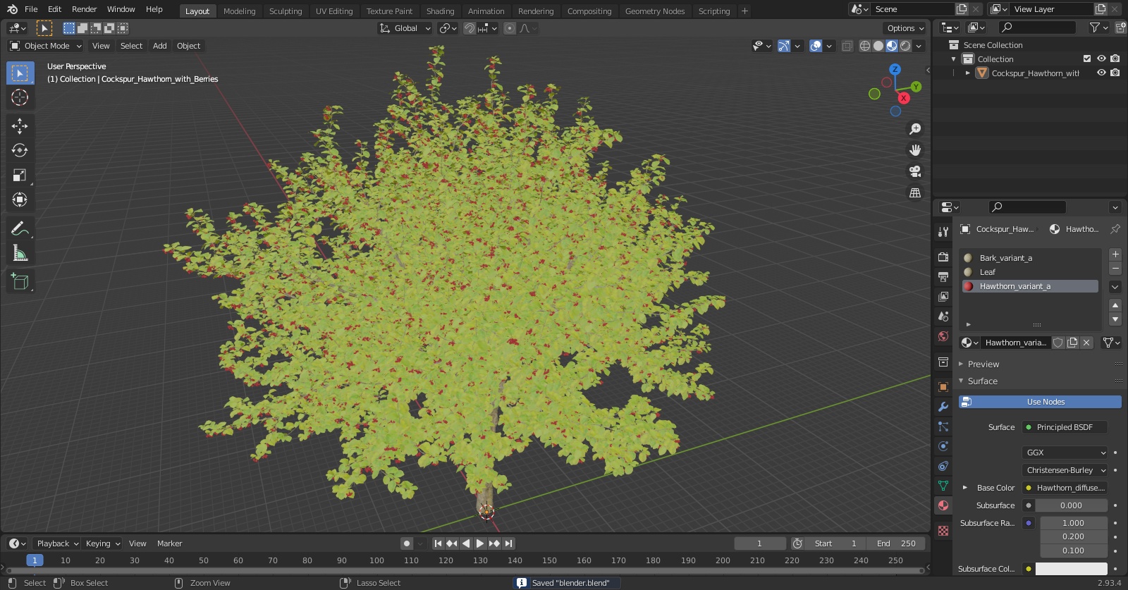 3D model Cockspur Hawthorn with Berries