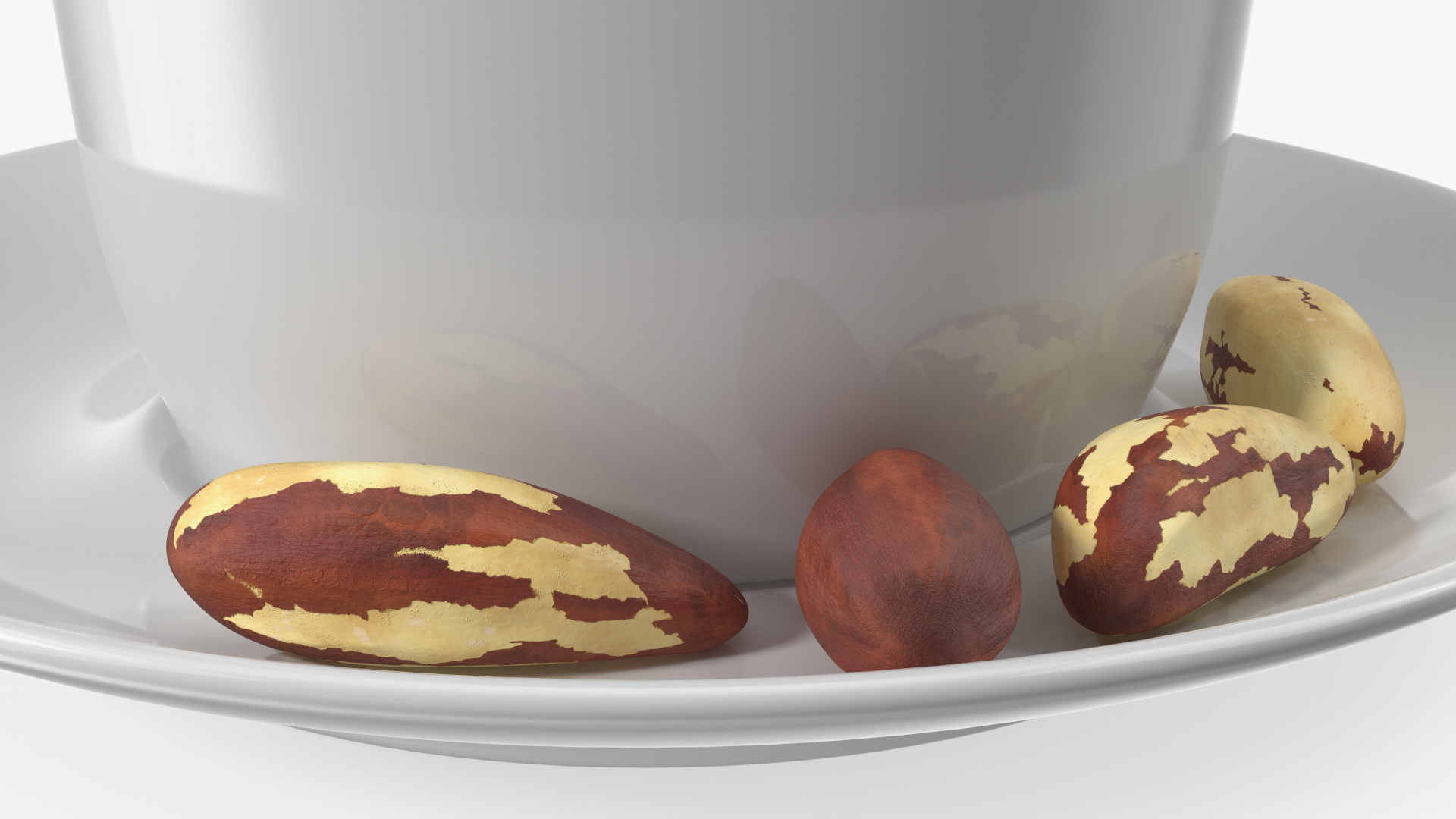 Coffee Cup with Brazil Nuts 3D