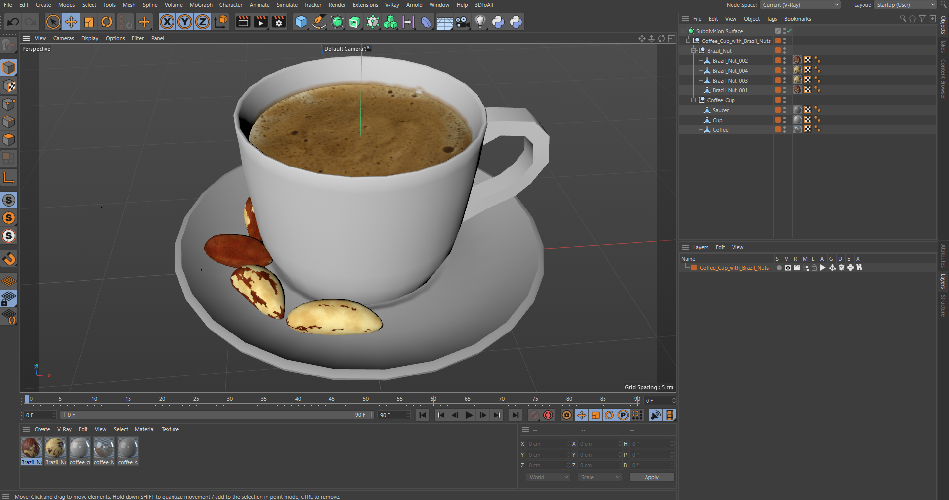 Coffee Cup with Brazil Nuts 3D