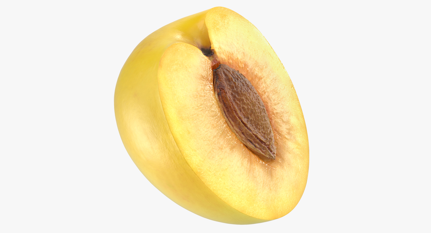 3D model Half Wet Yellow Plum With Seed