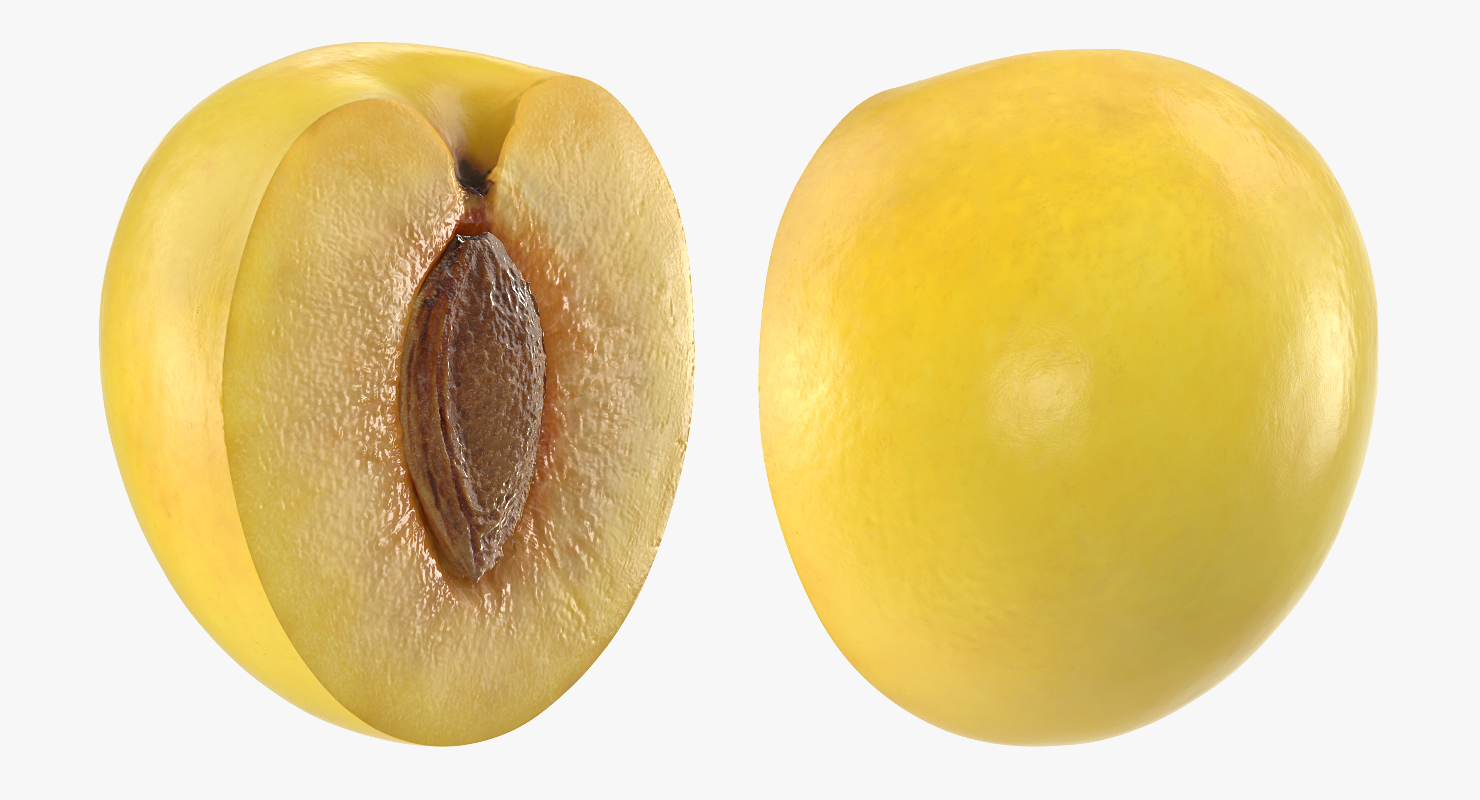 3D model Half Wet Yellow Plum With Seed