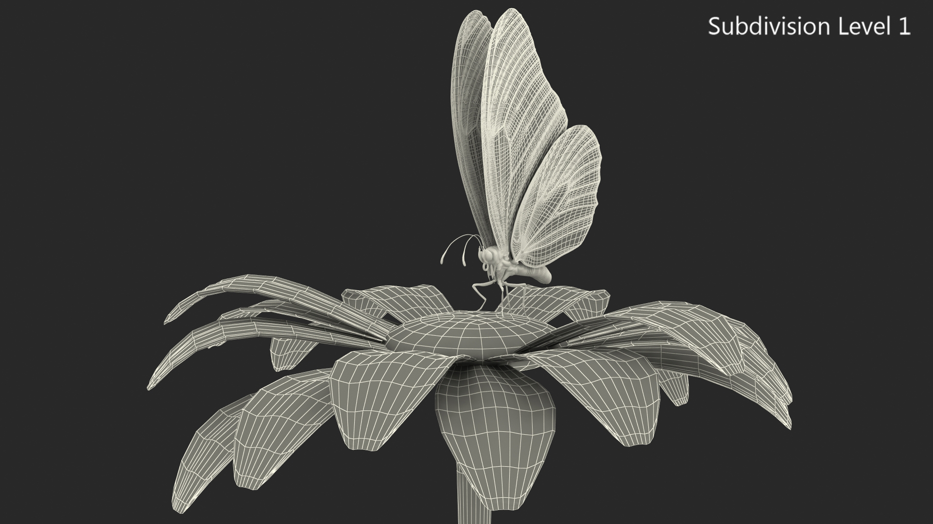 Animated Monarch Butterfly Collects Nectar from Swinging Flower Fur Rigged 3D model