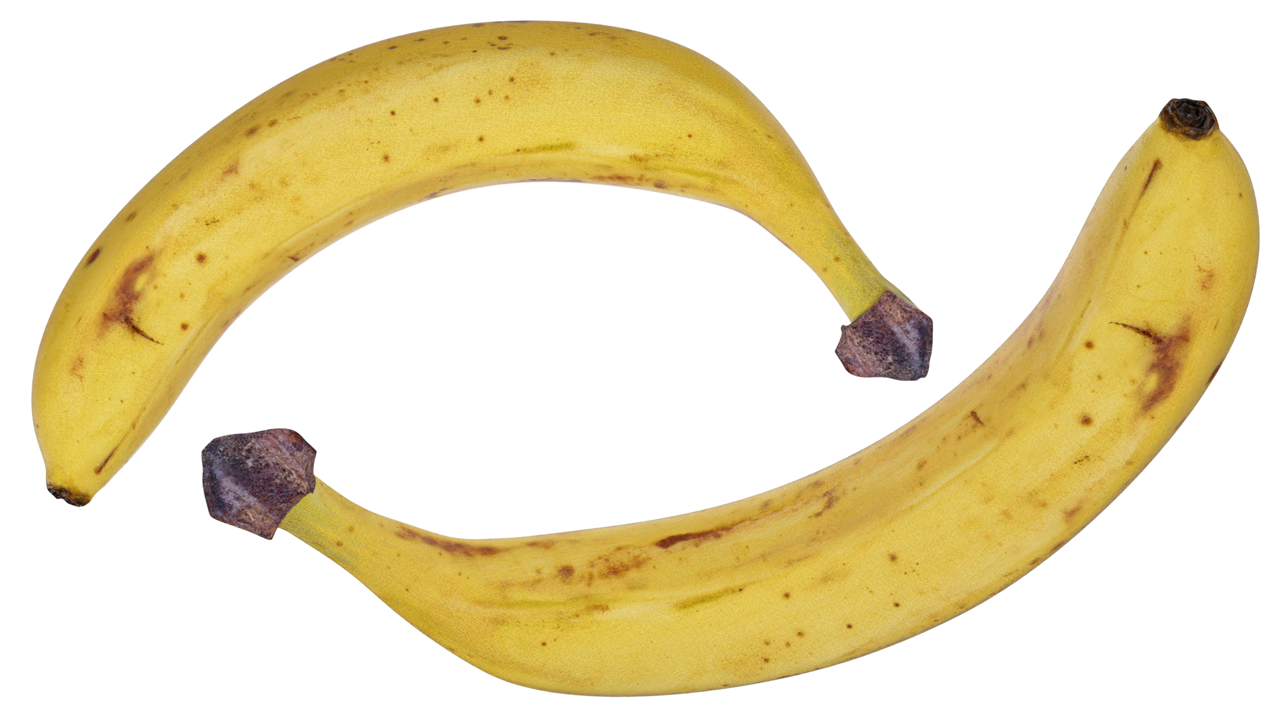 3D model Banana