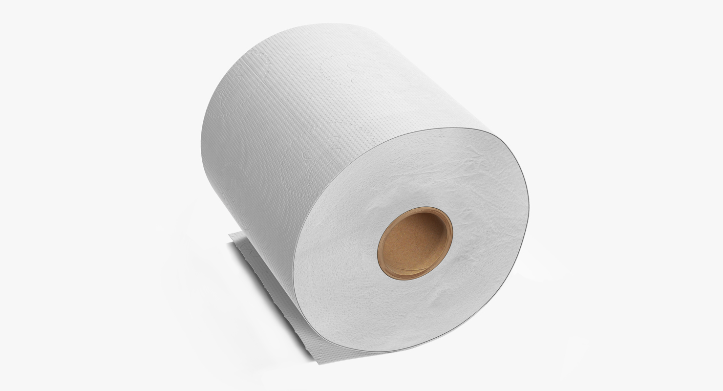 Toilet Paper 3D