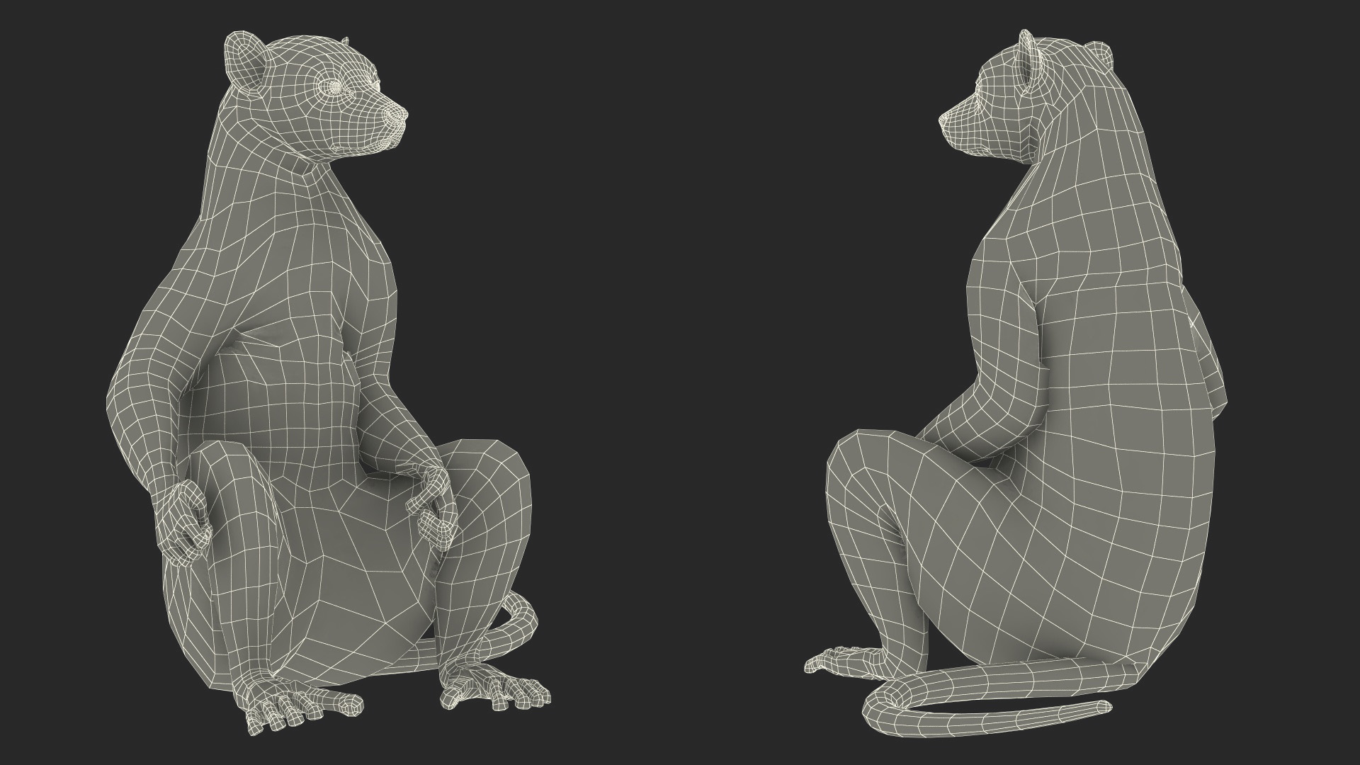 Lemur Catta Sitting Straight Fur 3D