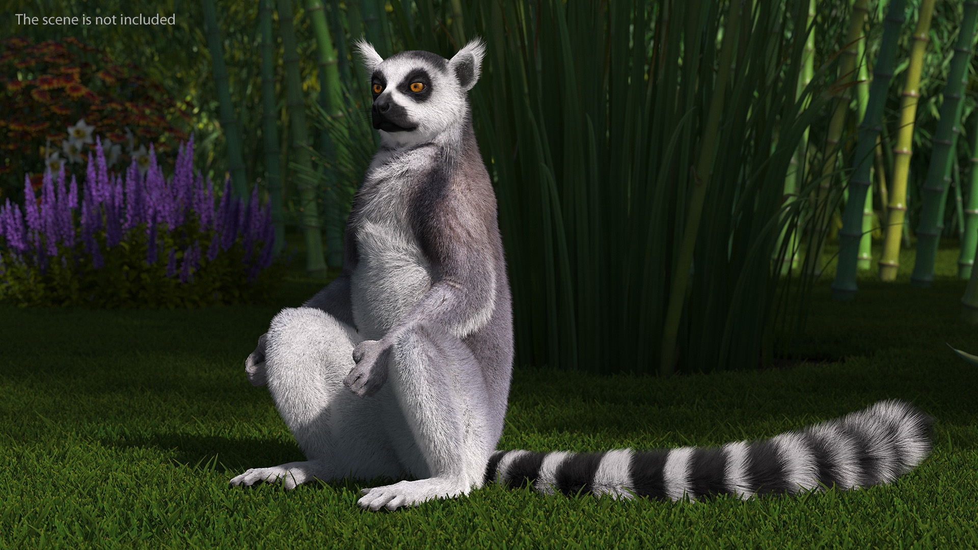 Lemur Catta Sitting Straight Fur 3D