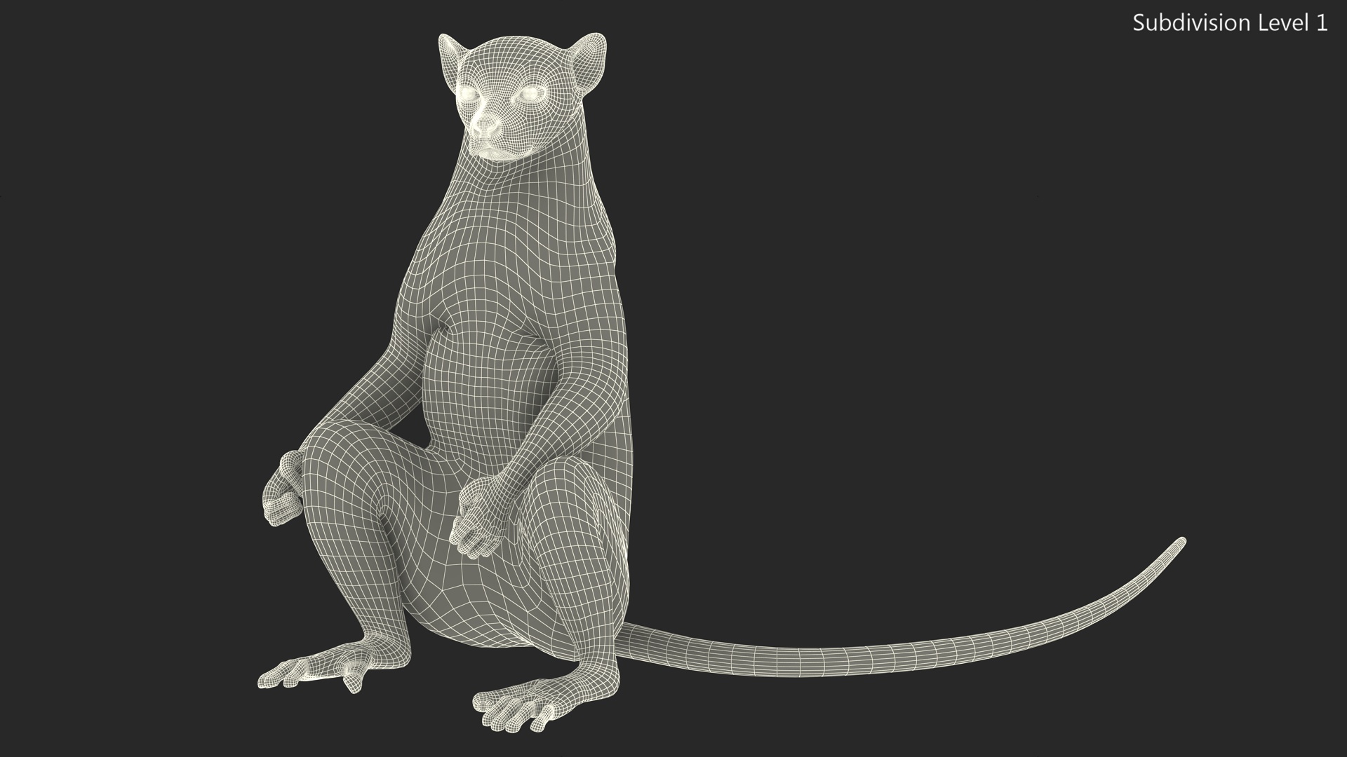 Lemur Catta Sitting Straight Fur 3D