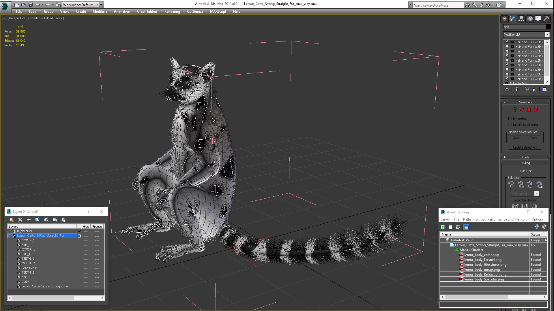 Lemur Catta Sitting Straight Fur 3D