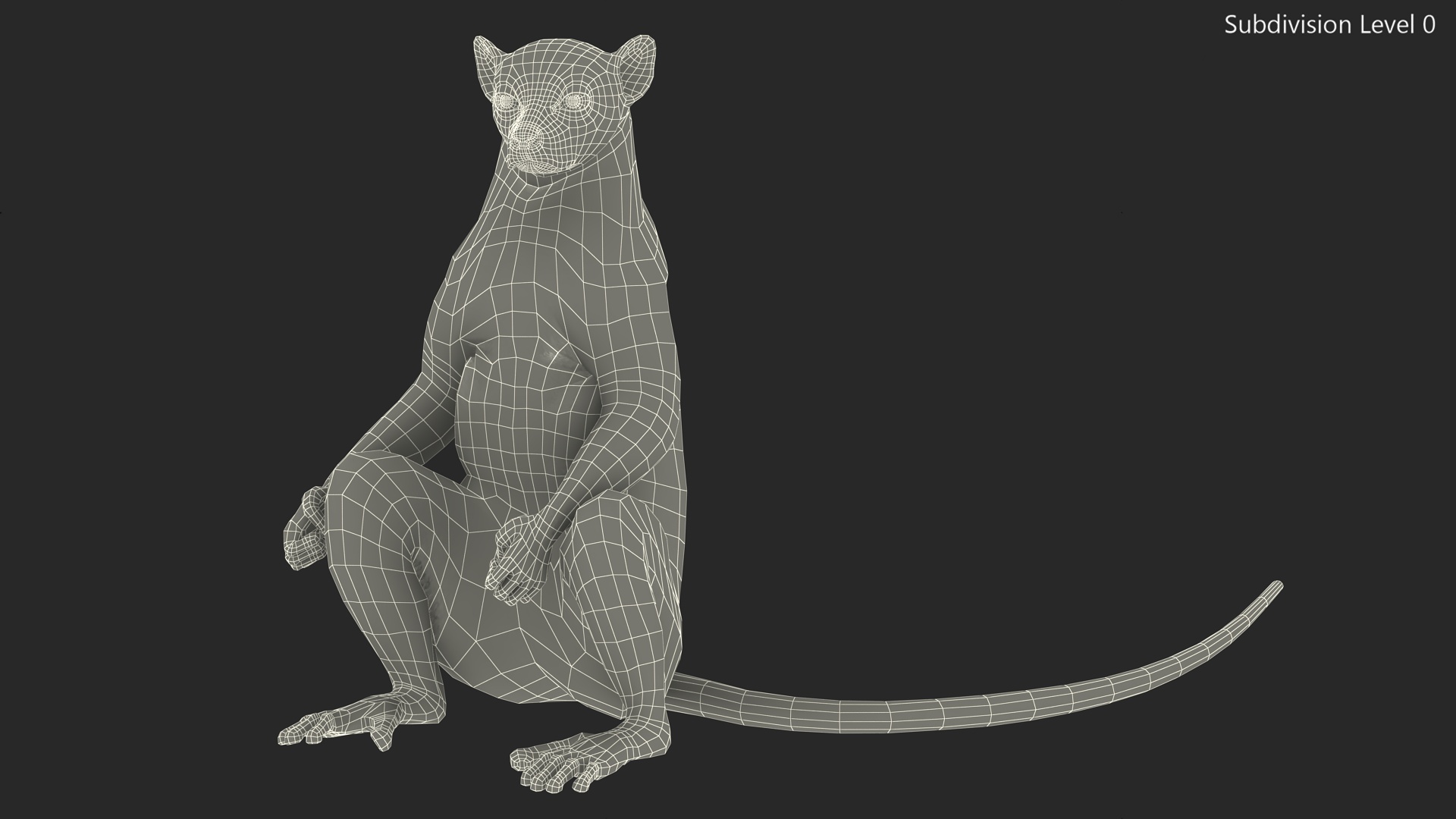 Lemur Catta Sitting Straight Fur 3D