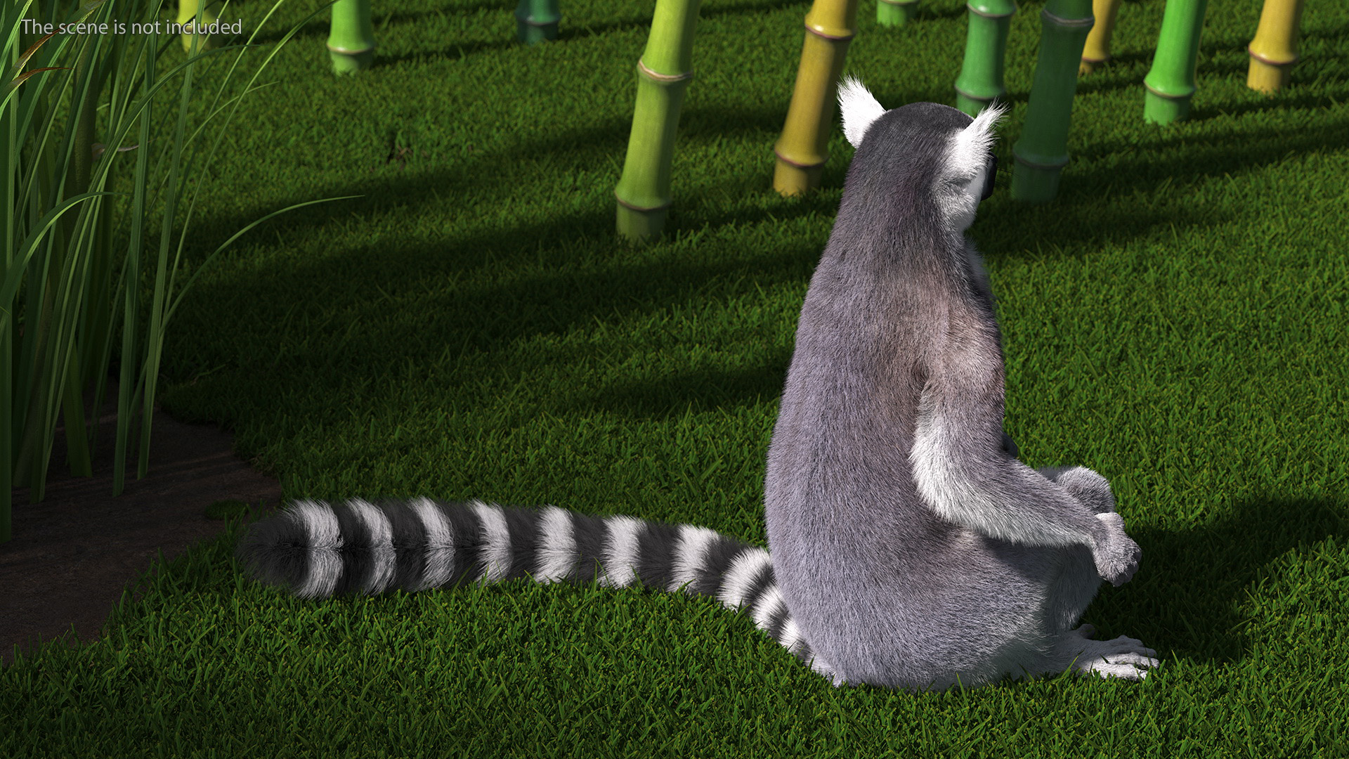 Lemur Catta Sitting Straight Fur 3D