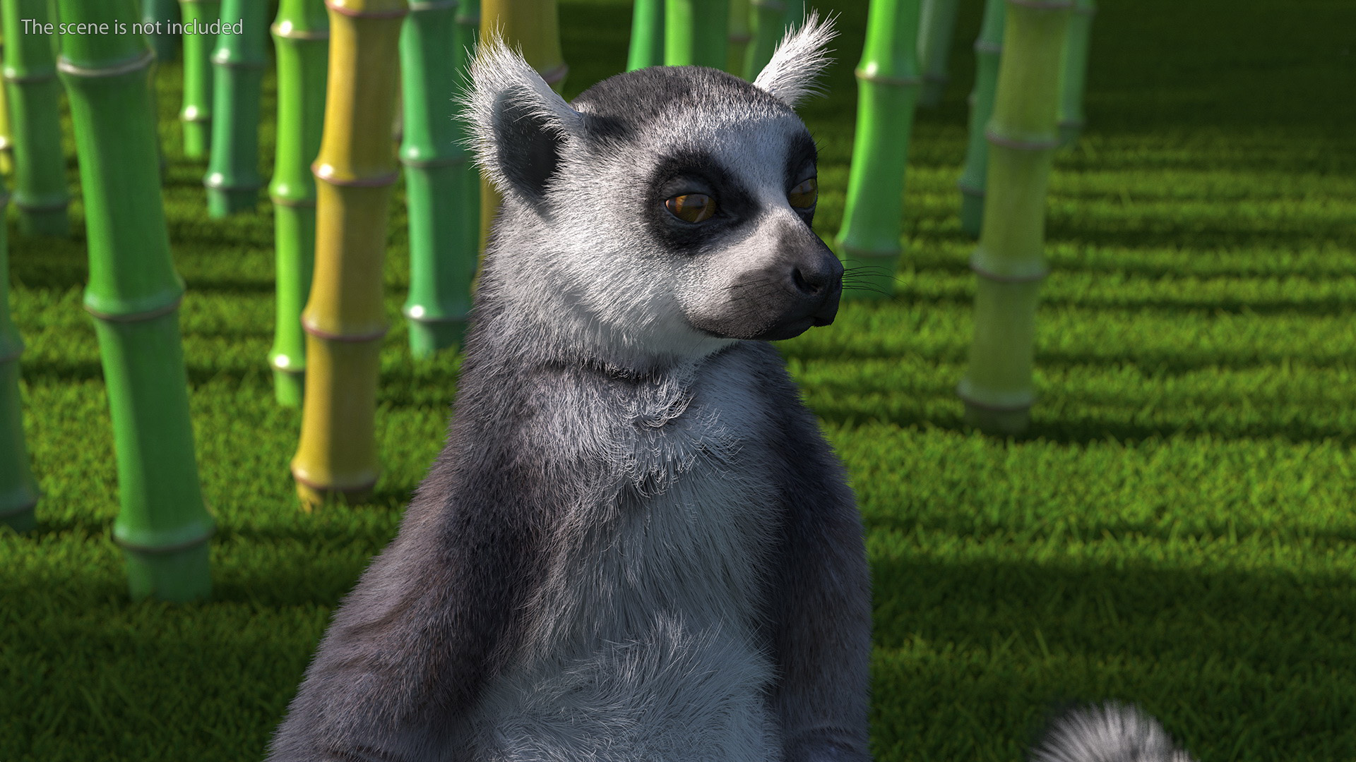 Lemur Catta Sitting Straight Fur 3D