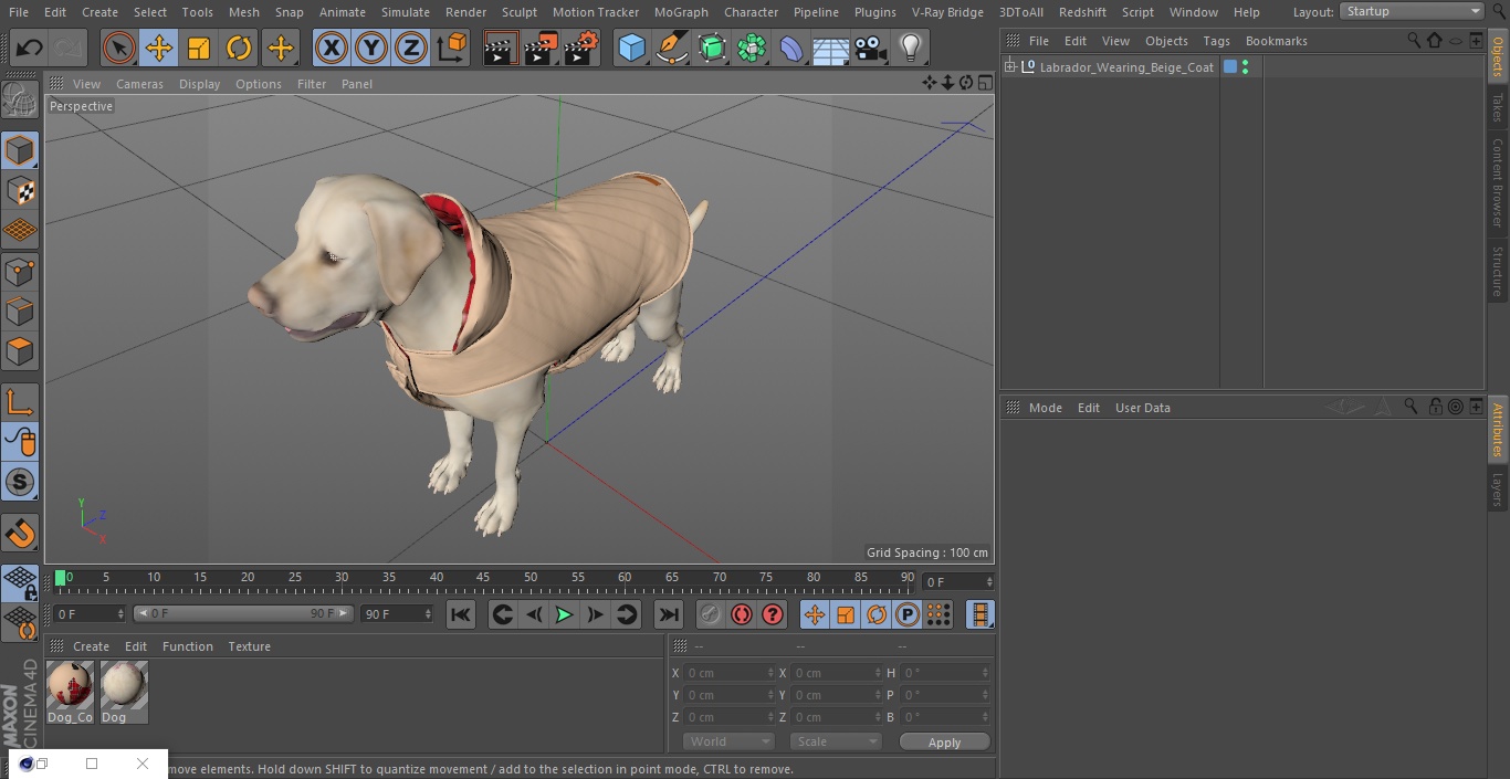 Labrador Wearing Beige Coat 3D