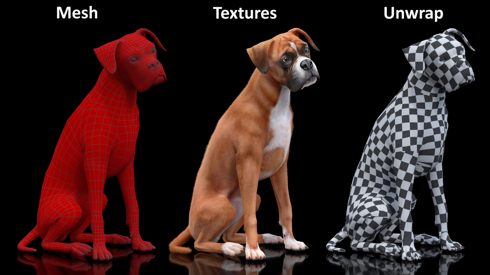 3D Sitting Dog Boxer Fur