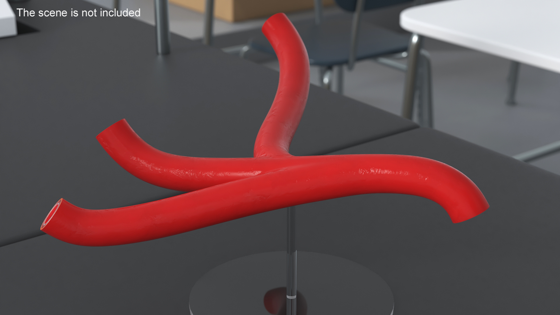 Human Arteries 3D model