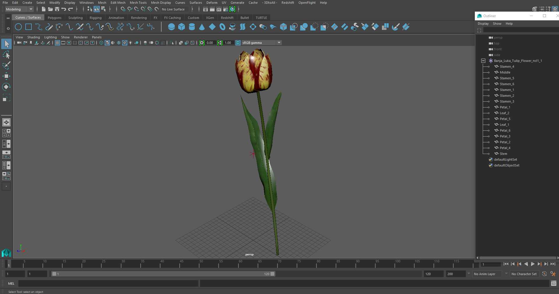 3D Banja Luka Tulip Flower model