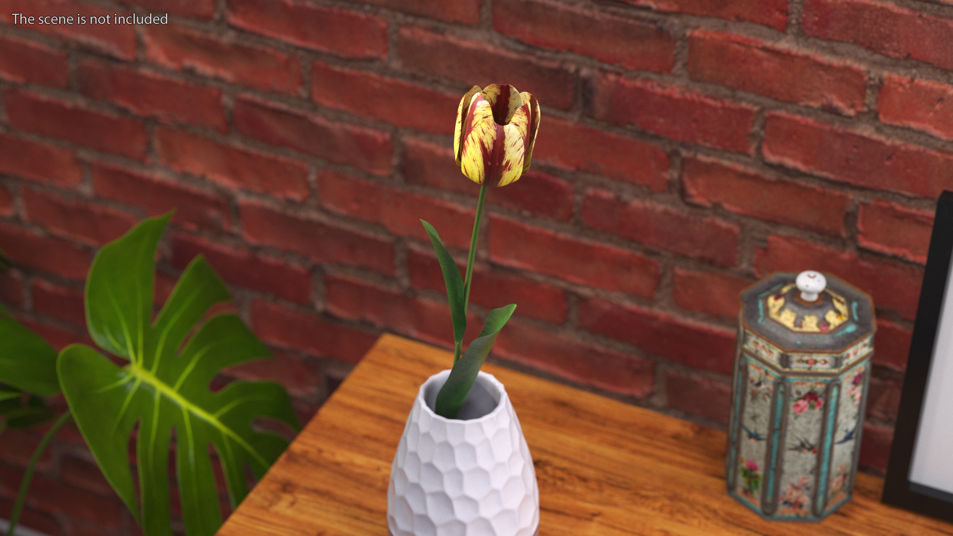 3D Banja Luka Tulip Flower model