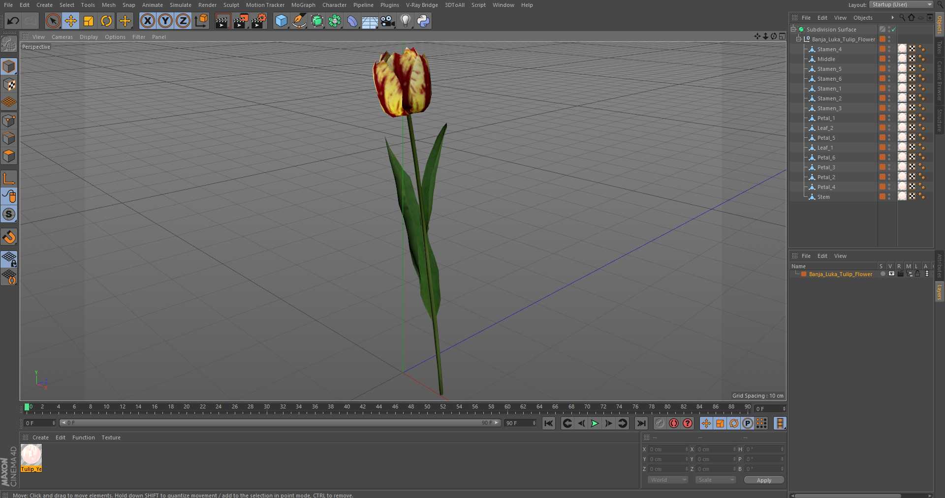 3D Banja Luka Tulip Flower model