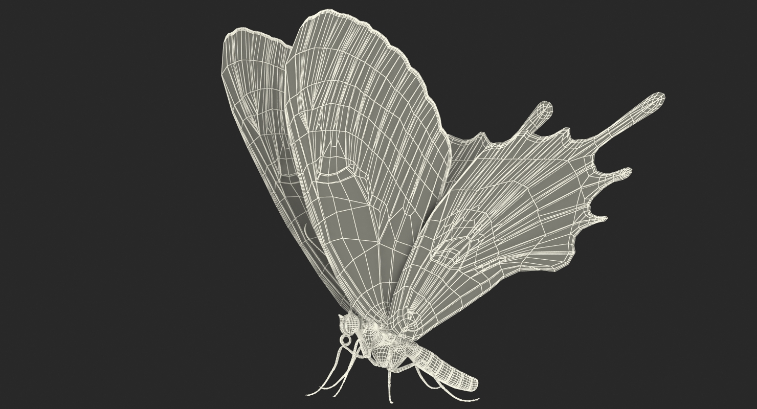 Bhutanitis Lidderdalii Butterfly Rigged 3D model