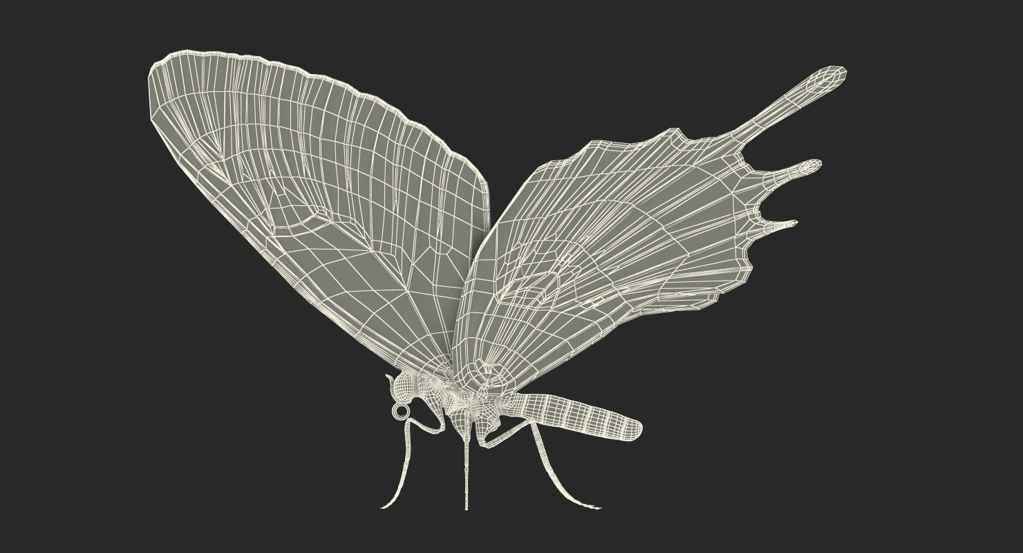 Bhutanitis Lidderdalii Butterfly Rigged 3D model