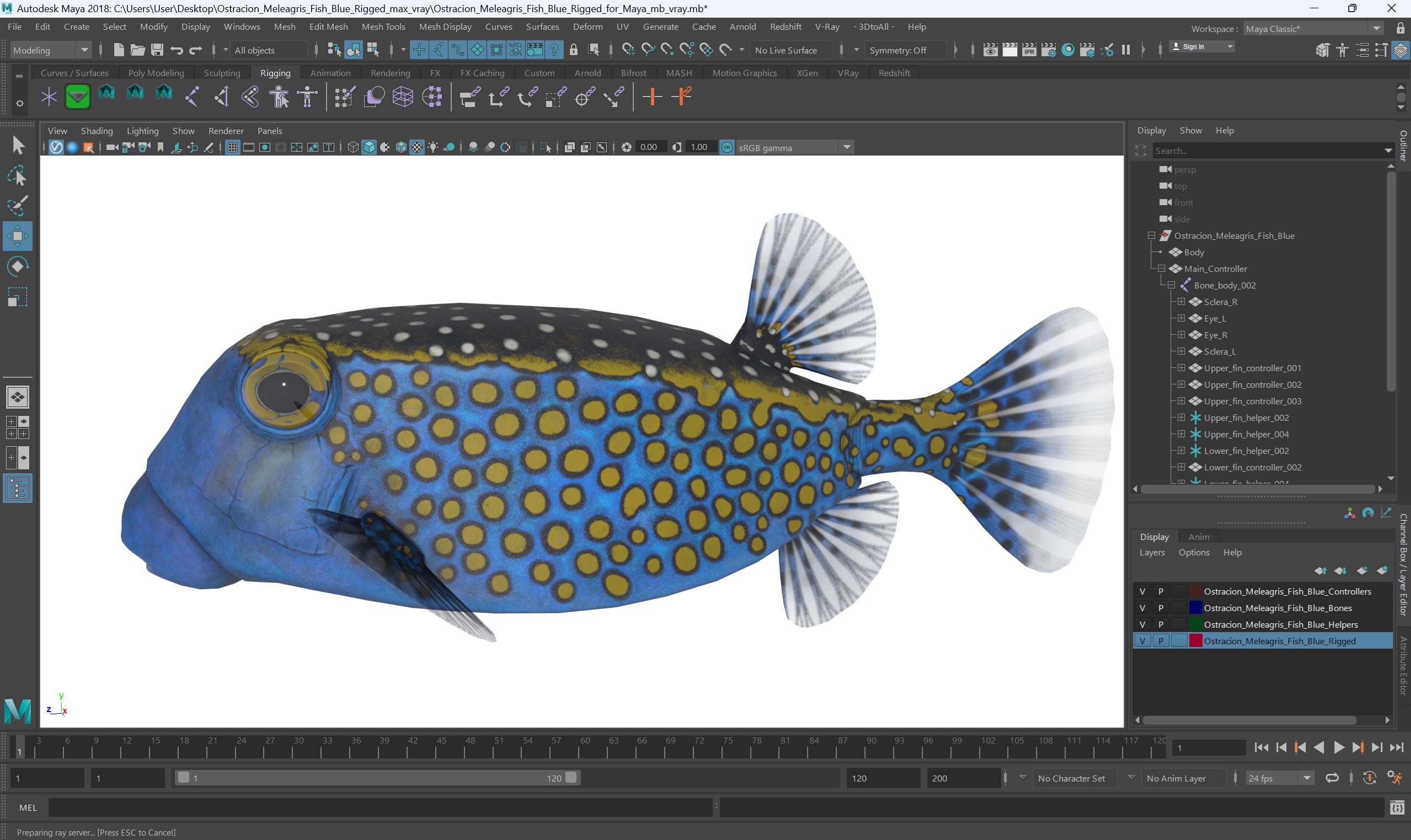 3D model Ostracion Meleagris Fish Blue Rigged for Maya