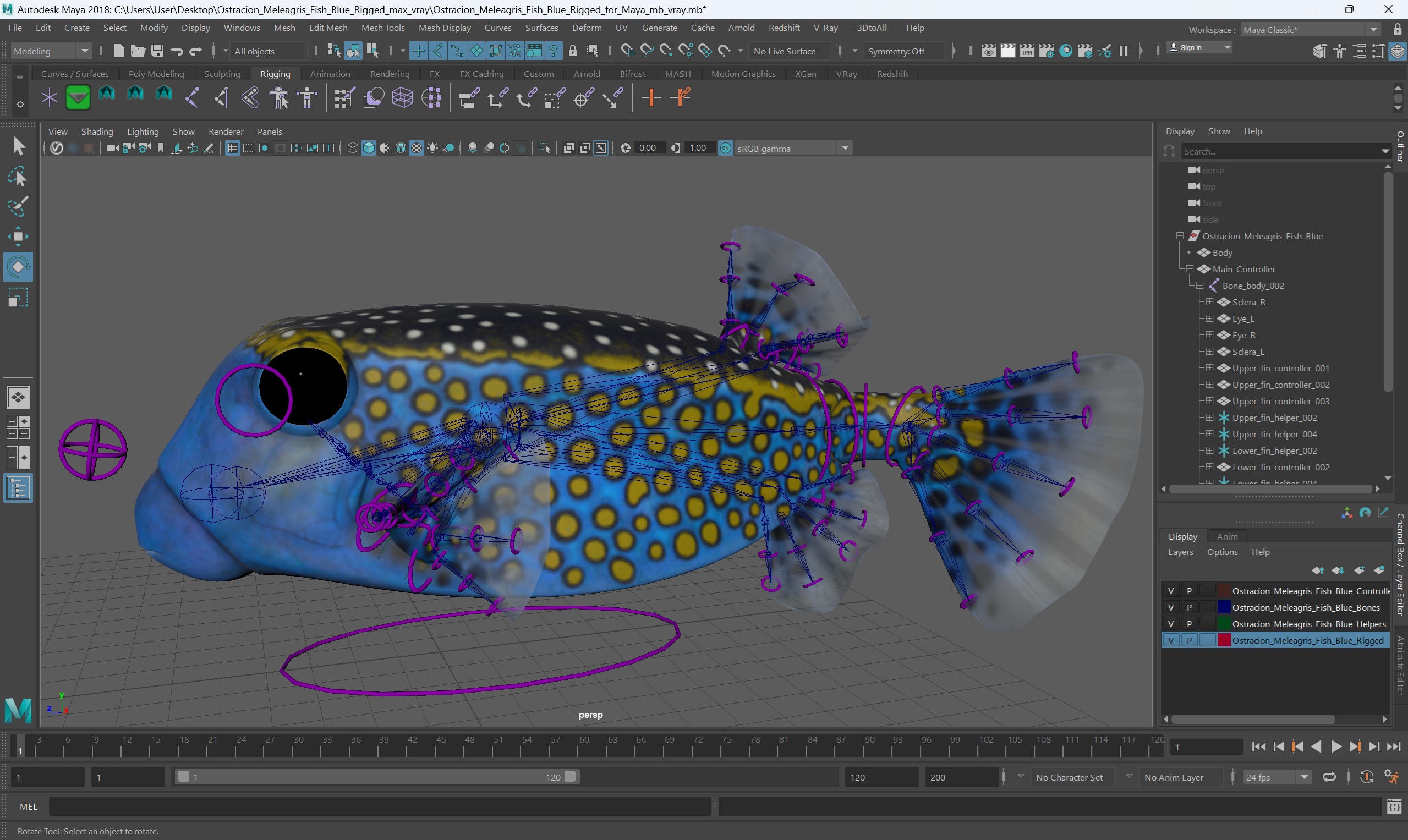 3D model Ostracion Meleagris Fish Blue Rigged for Maya